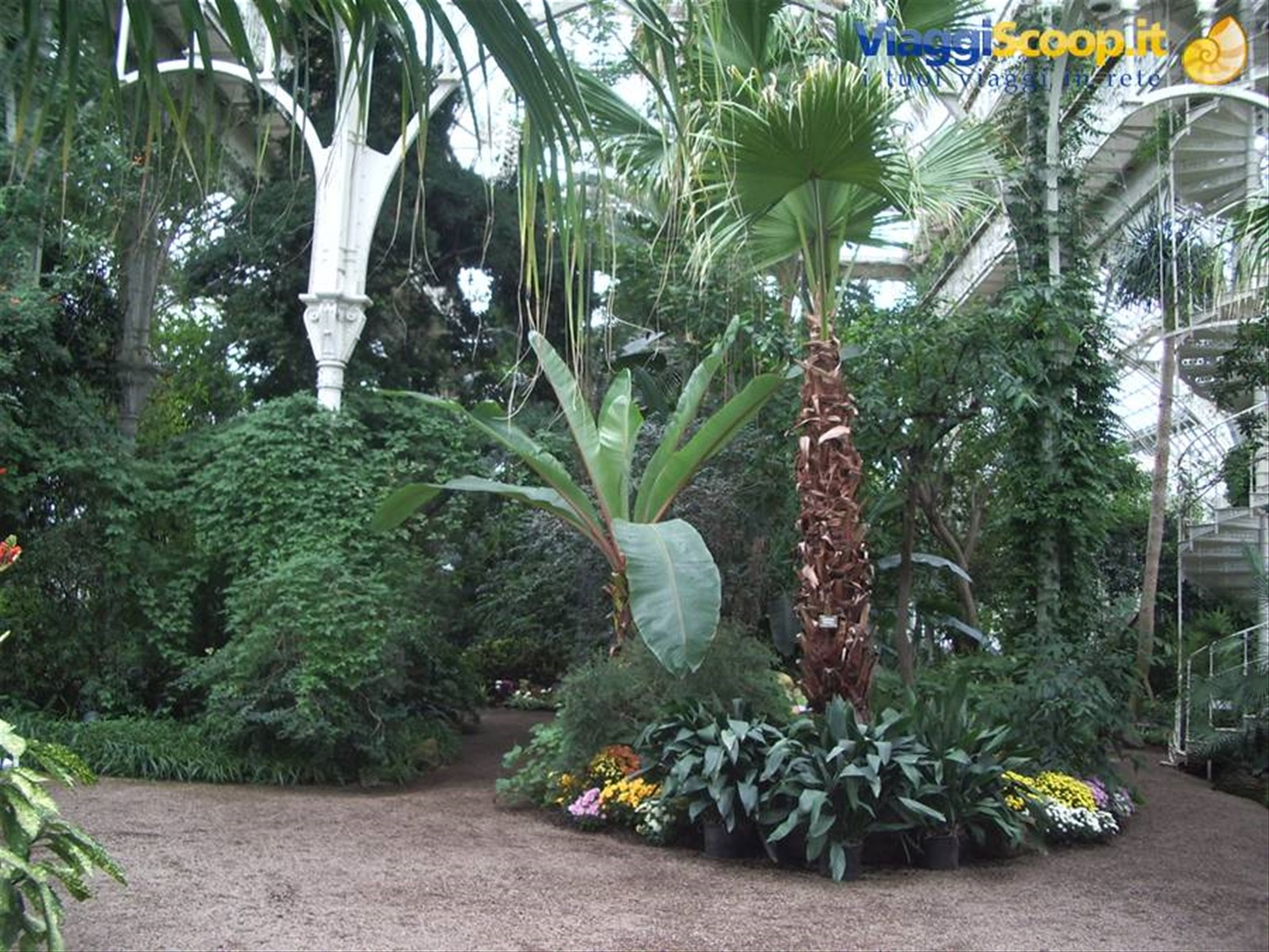 Botanischer Garten