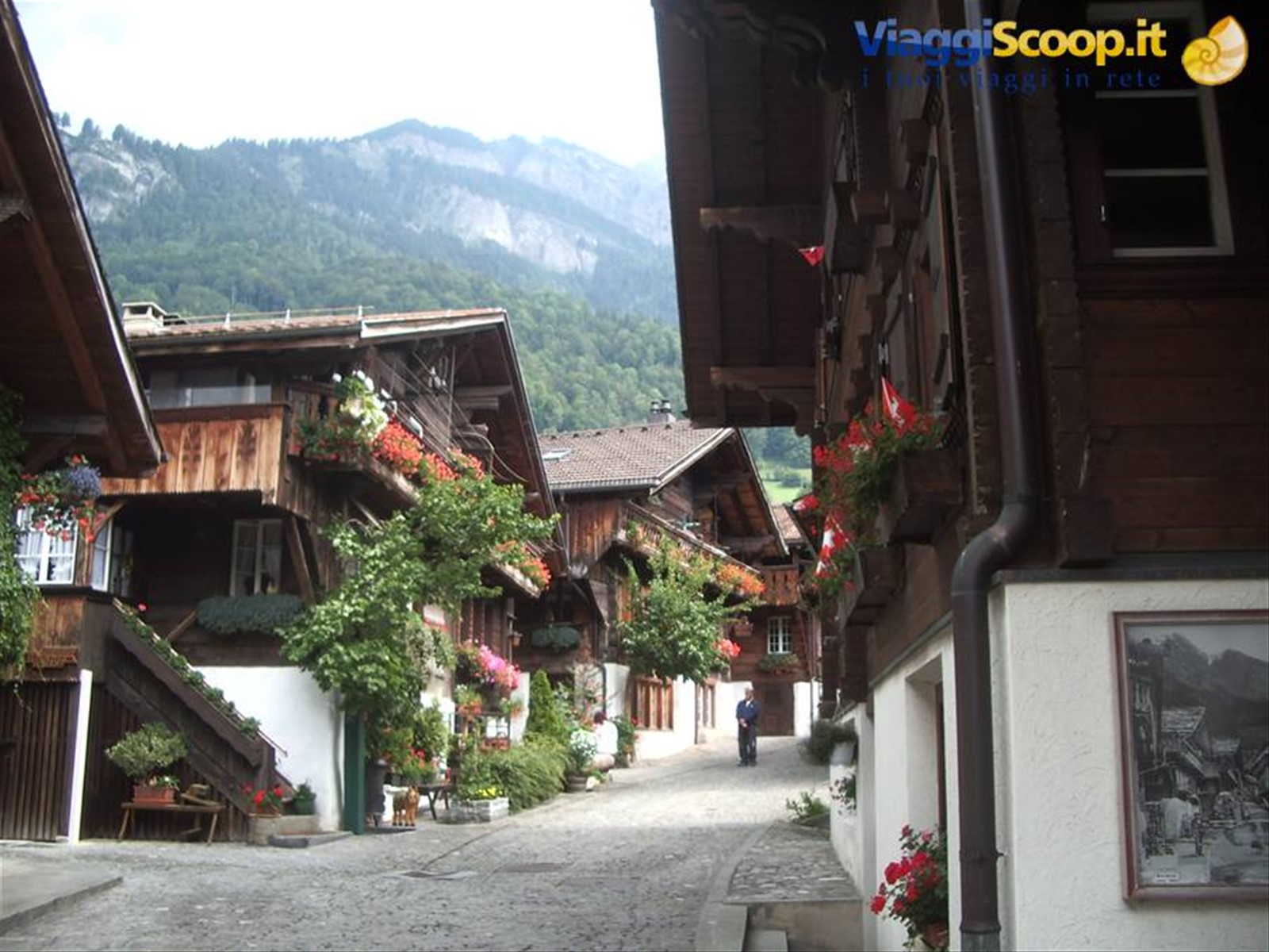 Brienz, balconi in fiore