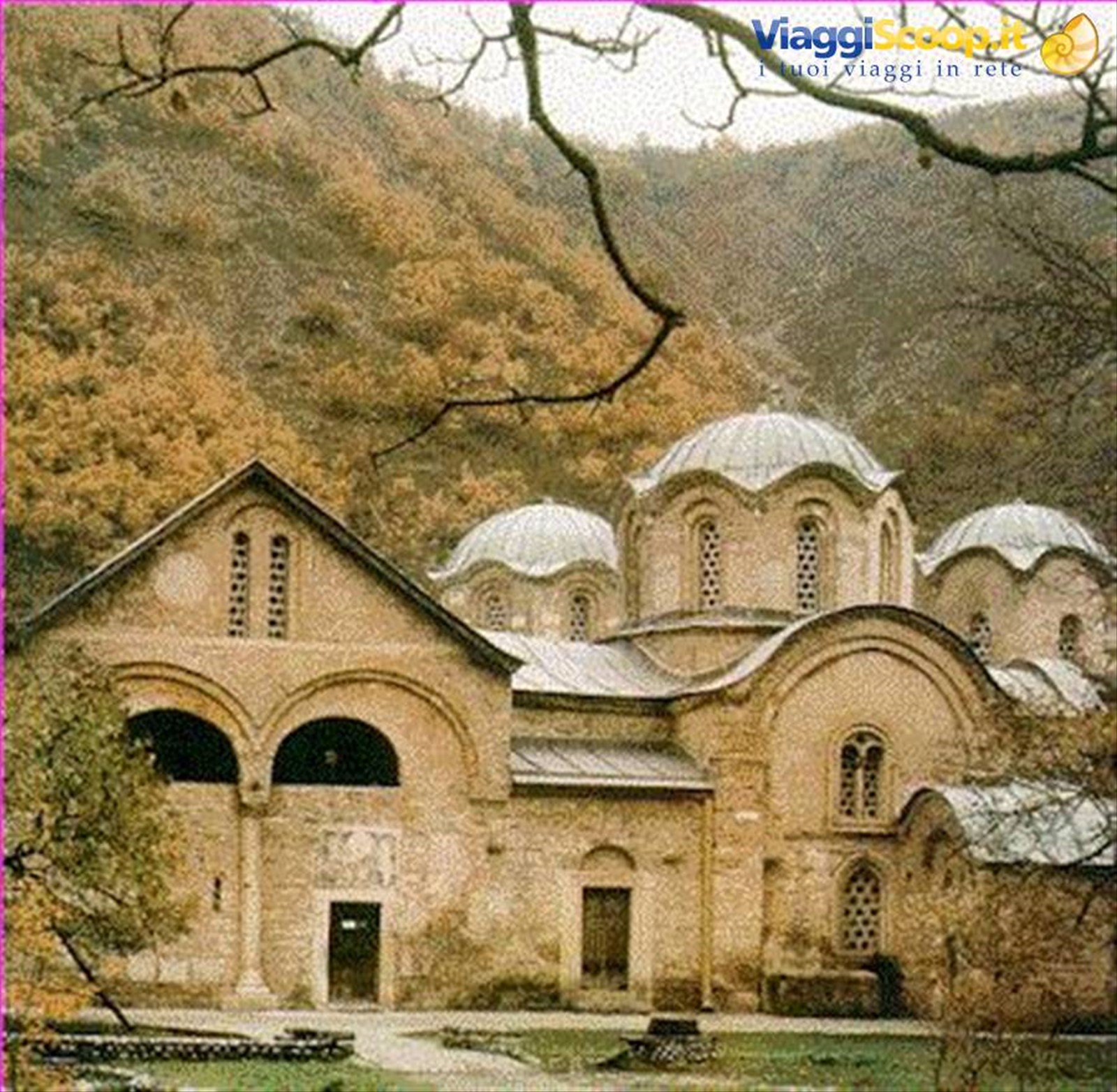 pec-patriarcato