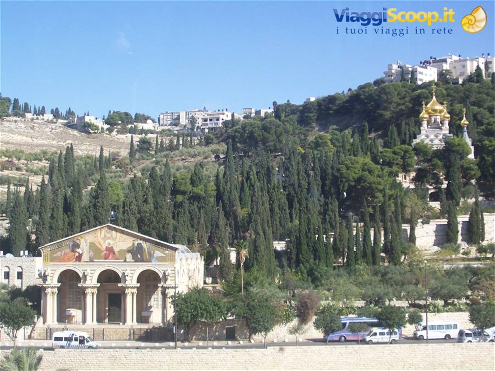 Orto dei Getzemani e Monte degli Ulivi