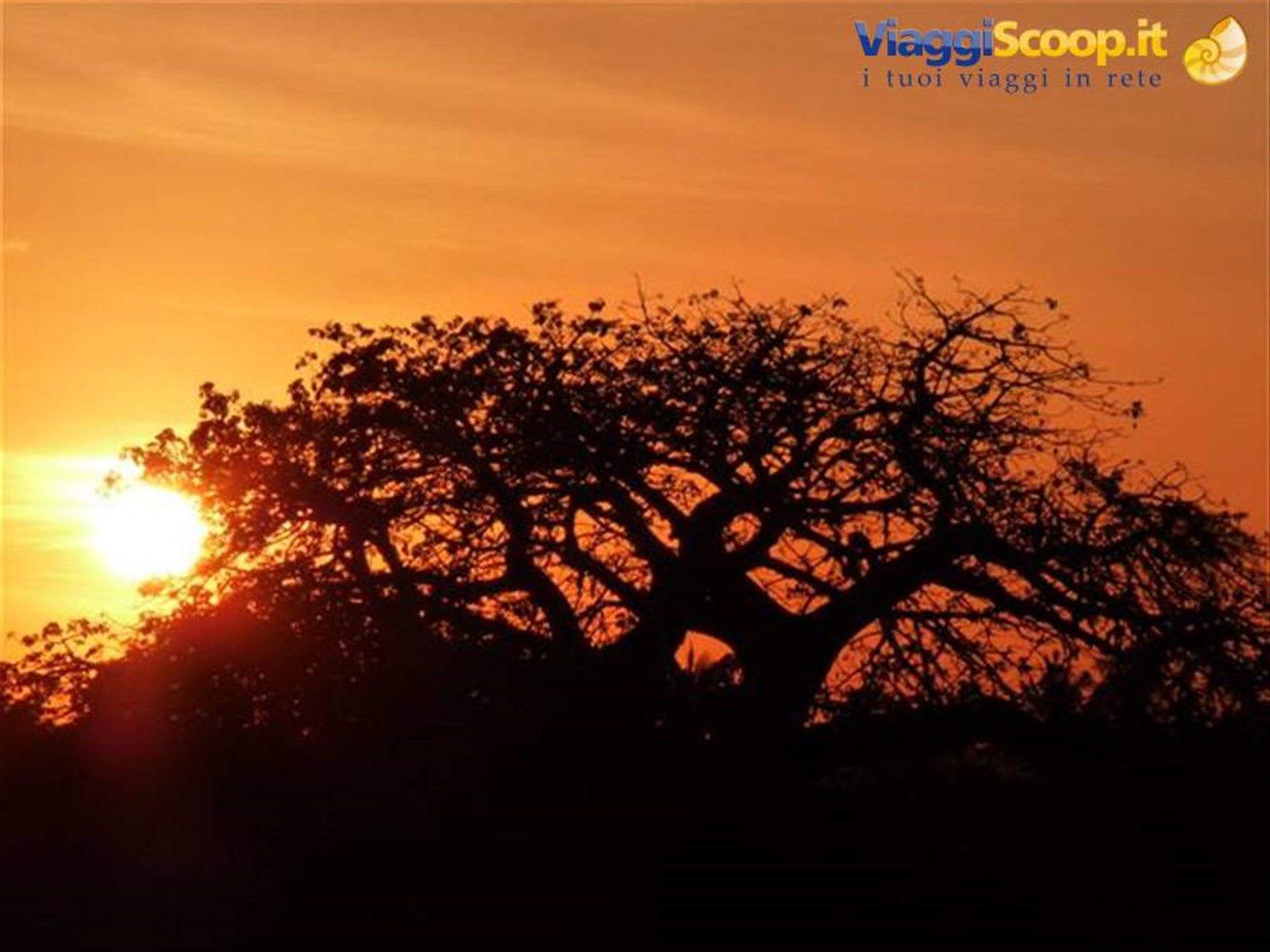 Foto di viaggio in KENYA