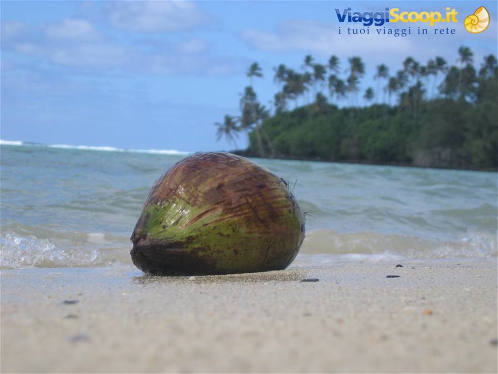 Foto di viaggio in ISOLE COOK