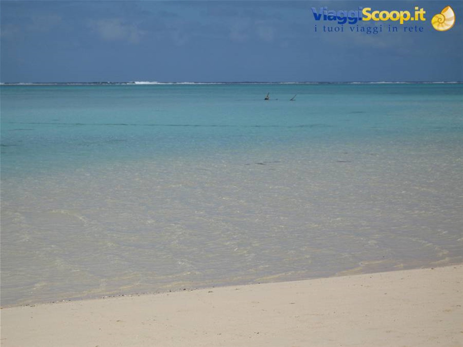 Foto di viaggio in ISOLE COOK