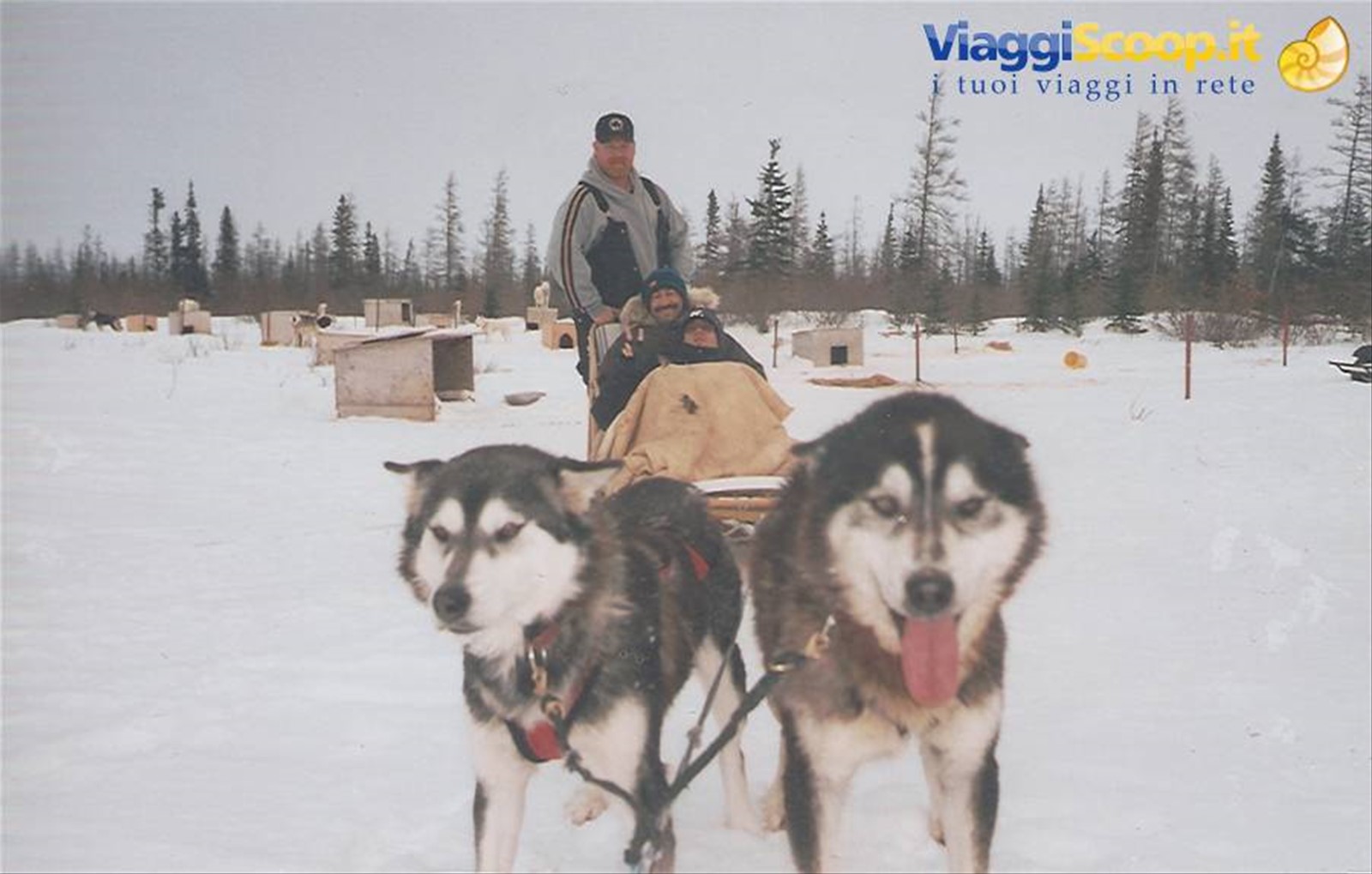 favoloso giro sul dogsled