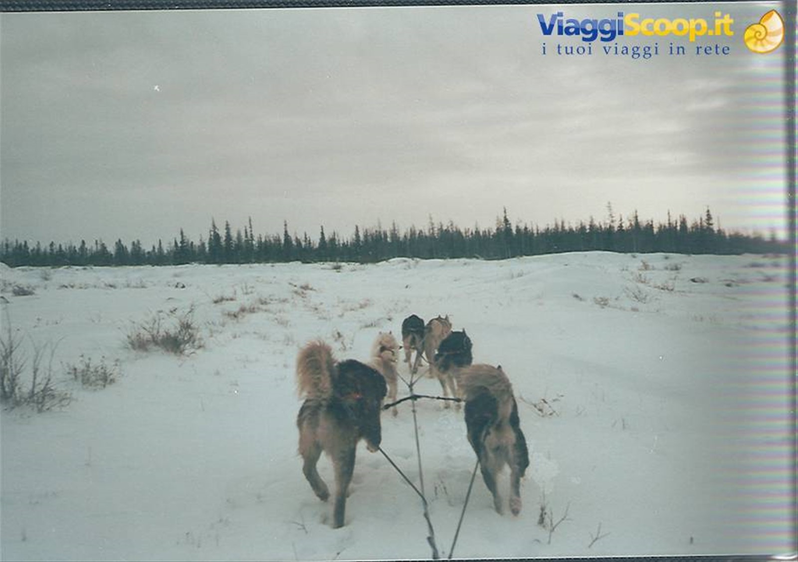 Foto di viaggio in CANADA