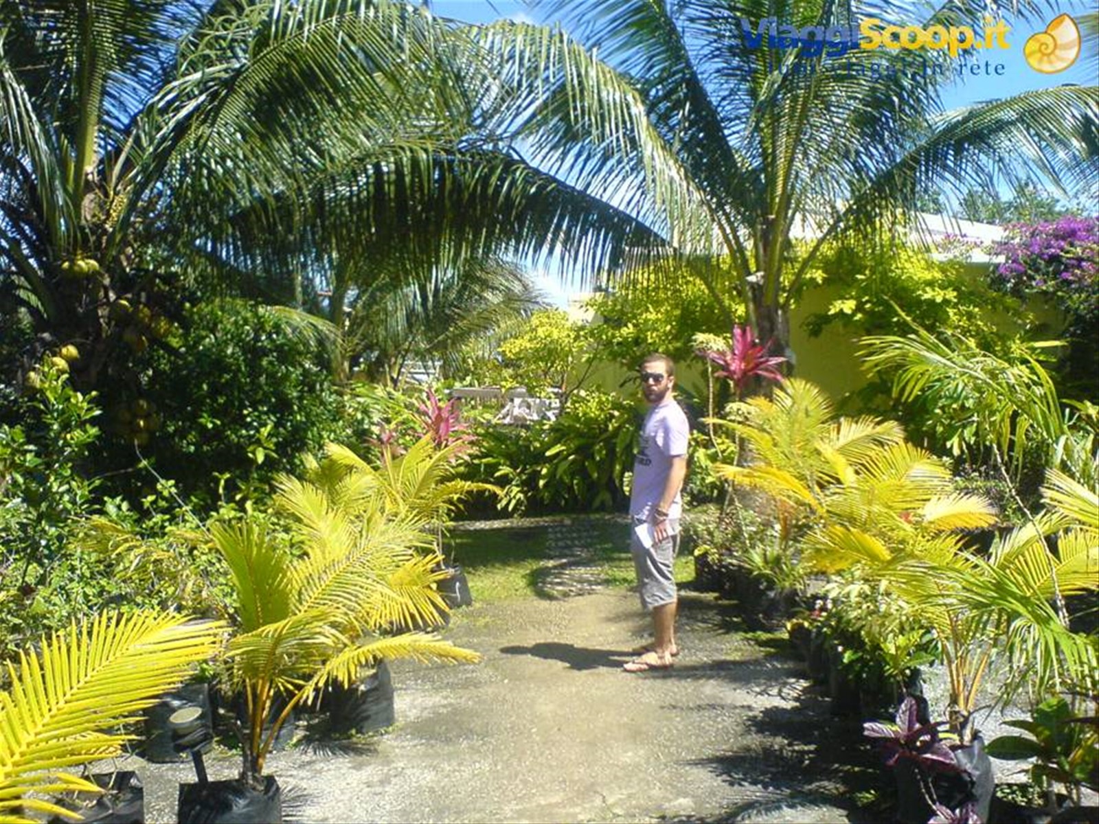 Foto di viaggio in VANUATU