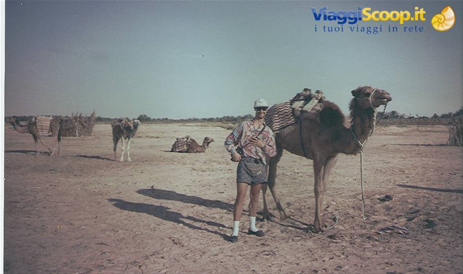 Foto di viaggio in TUNISIA