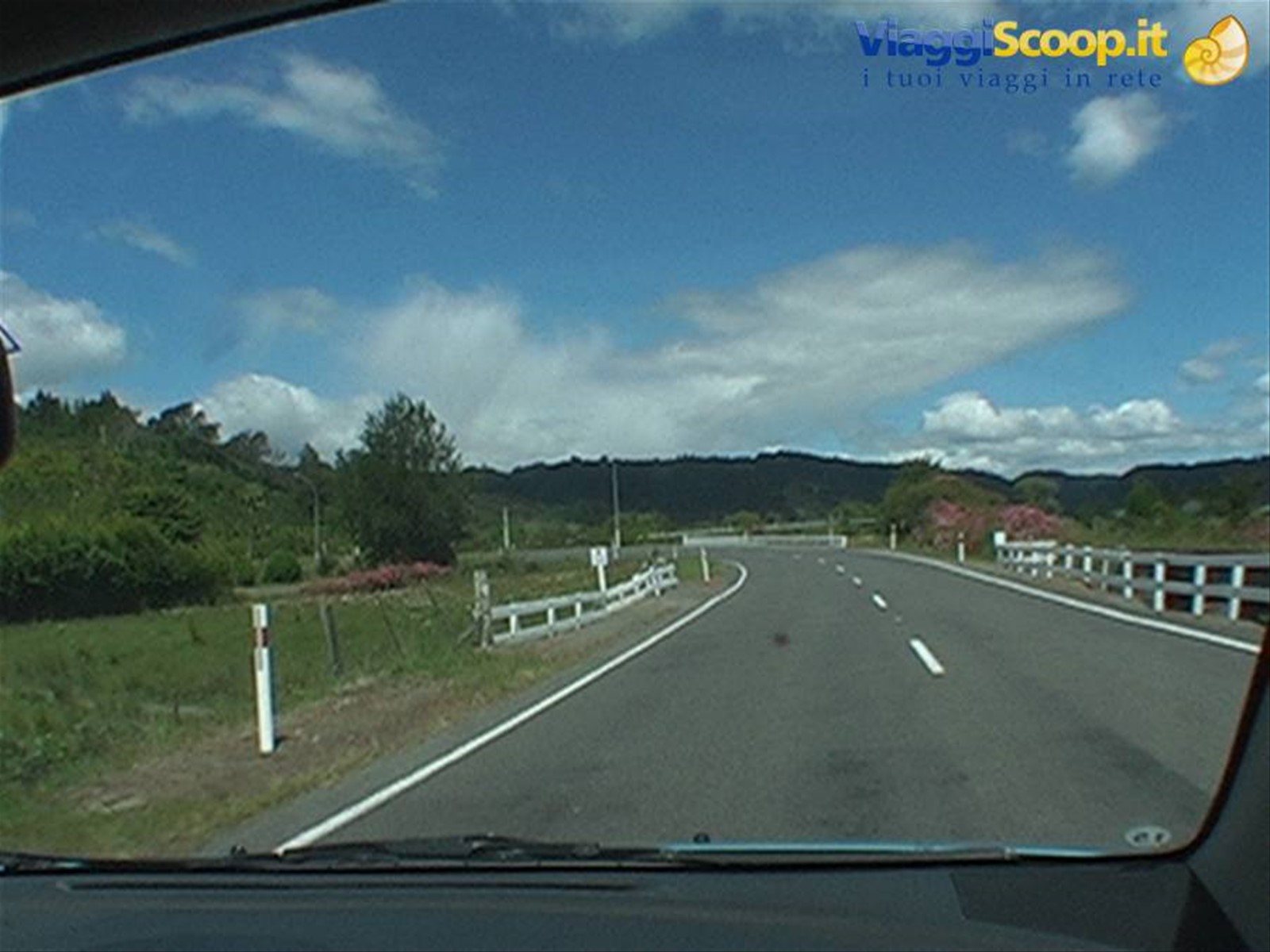 Foto di viaggio in NUOVA ZELANDA