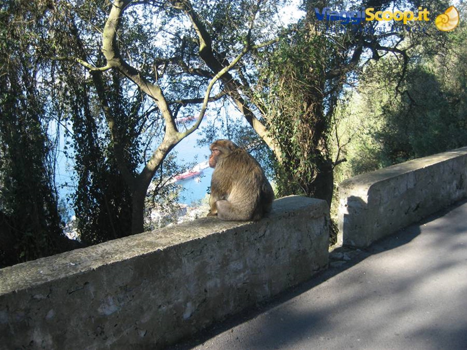 Foto di viaggio in GIBILTERRA