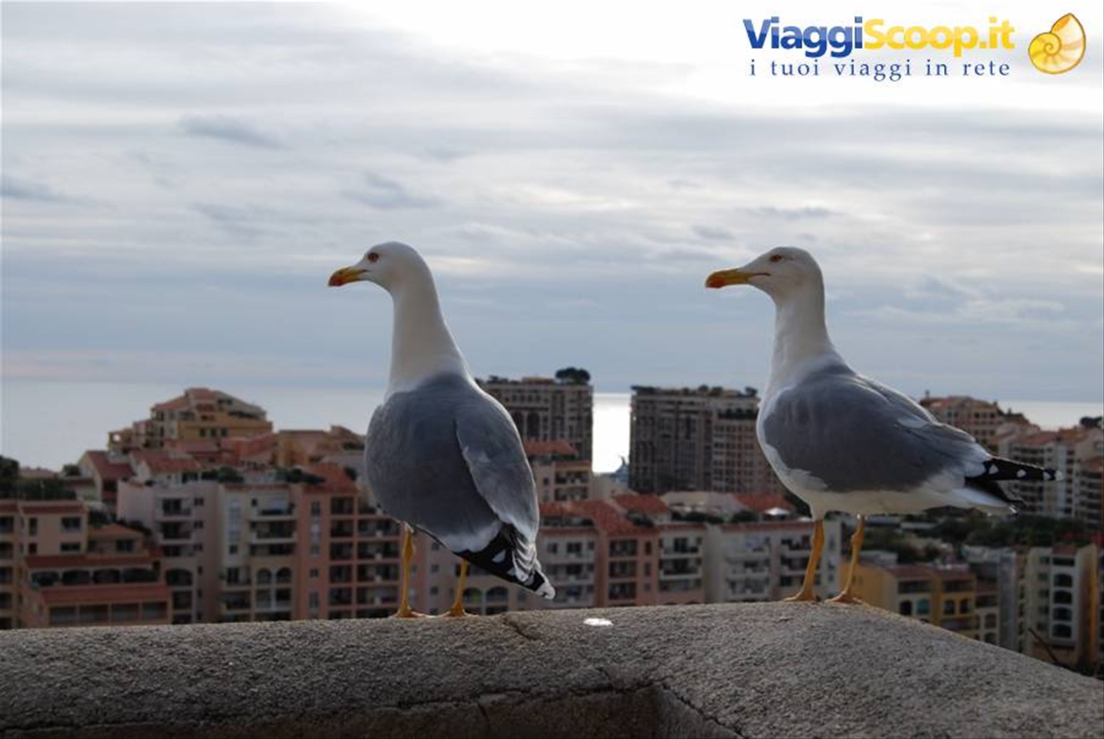 Foto di viaggio in MONACO
