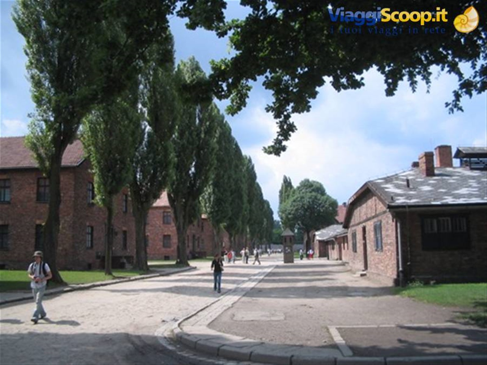 Foto di viaggio in POLONIA