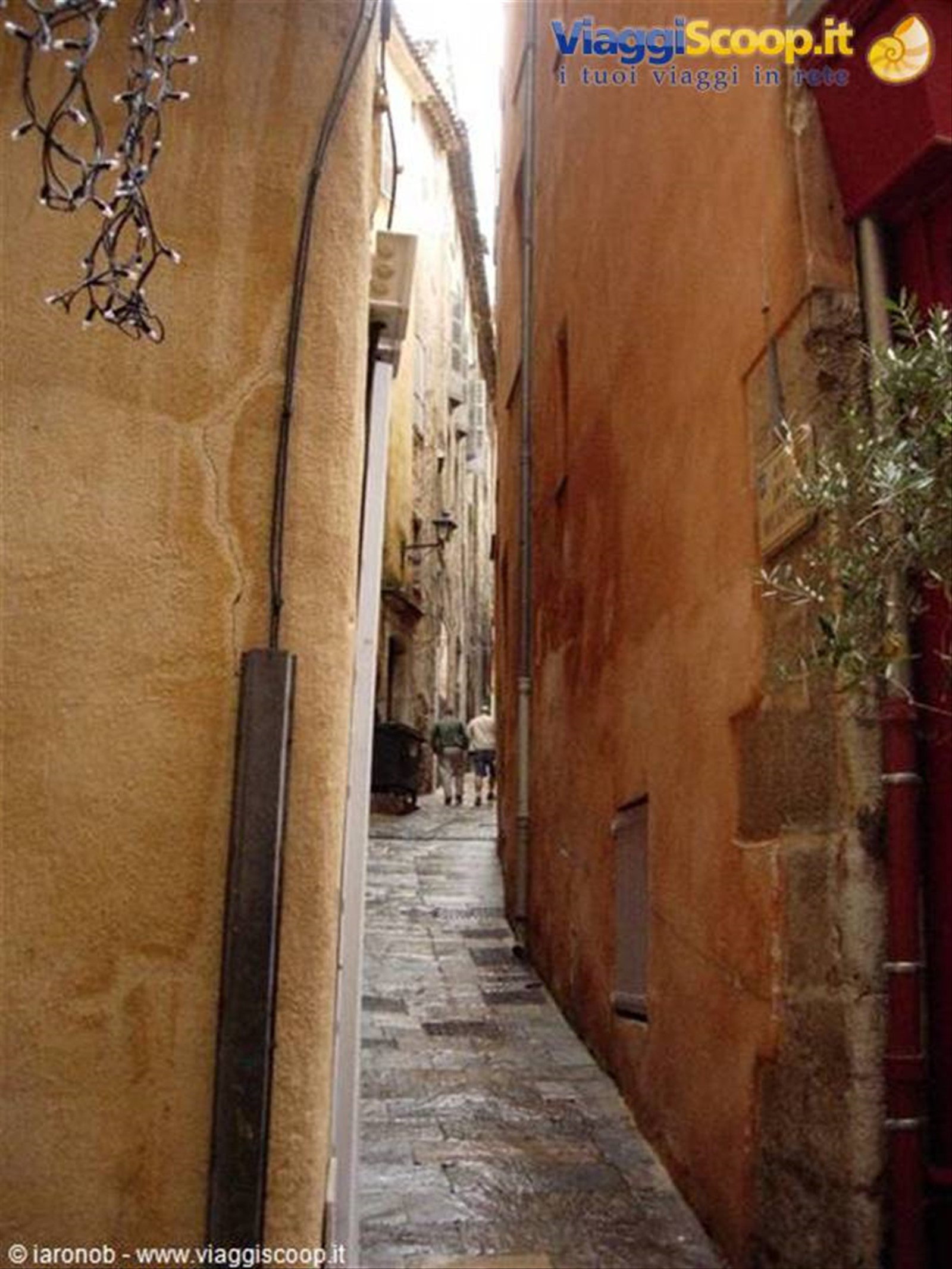 Grasse