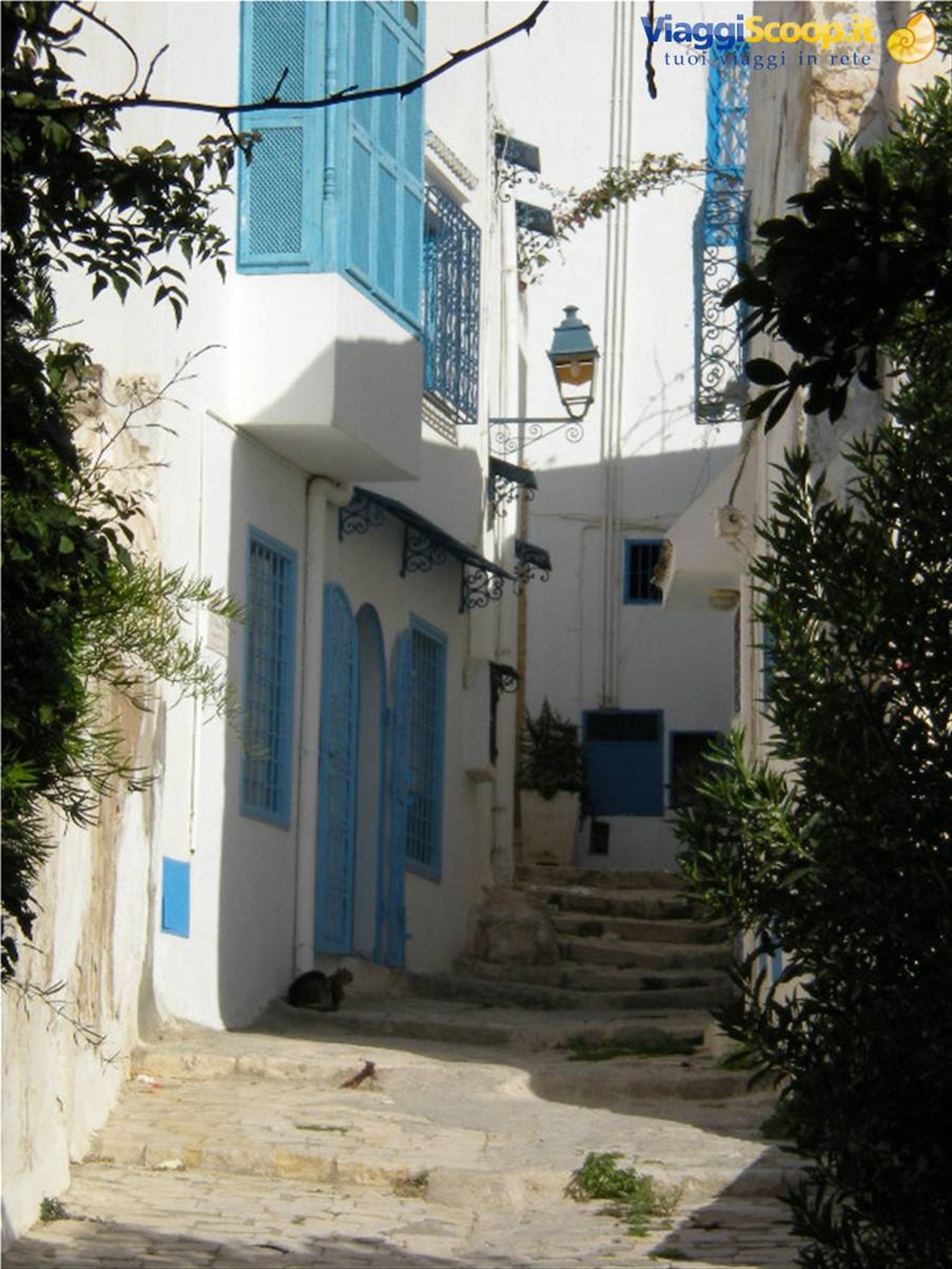 Sidi Bou Said - Tunisi
