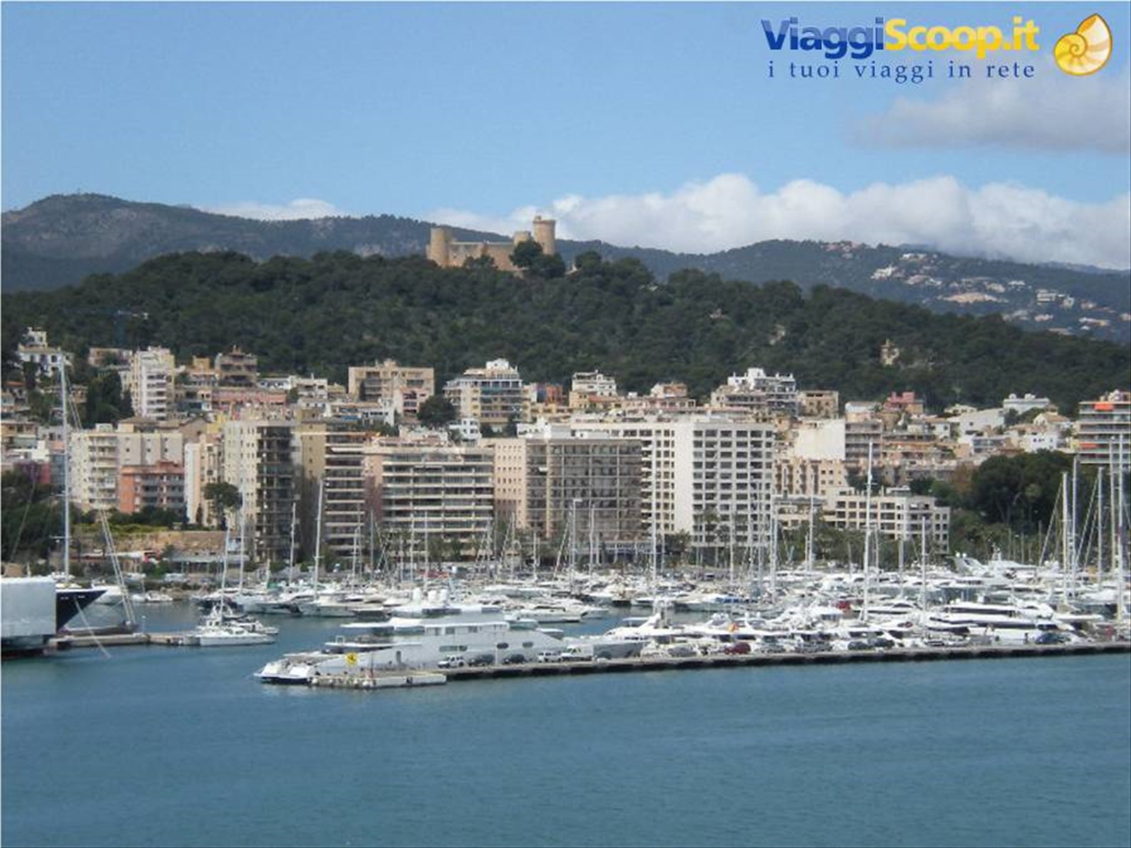 Palma di Majorca - porto