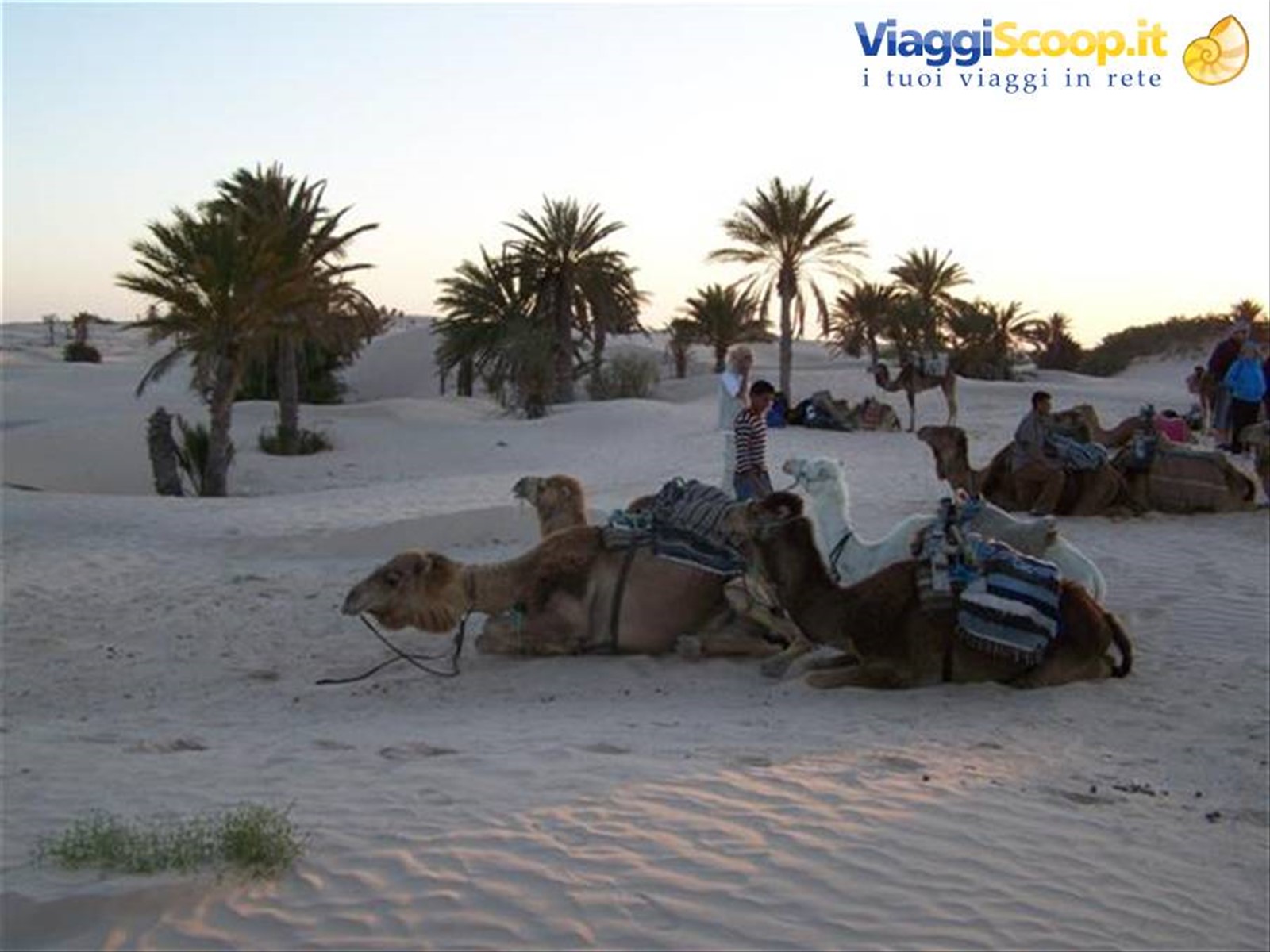 Foto di viaggio in TUNISIA