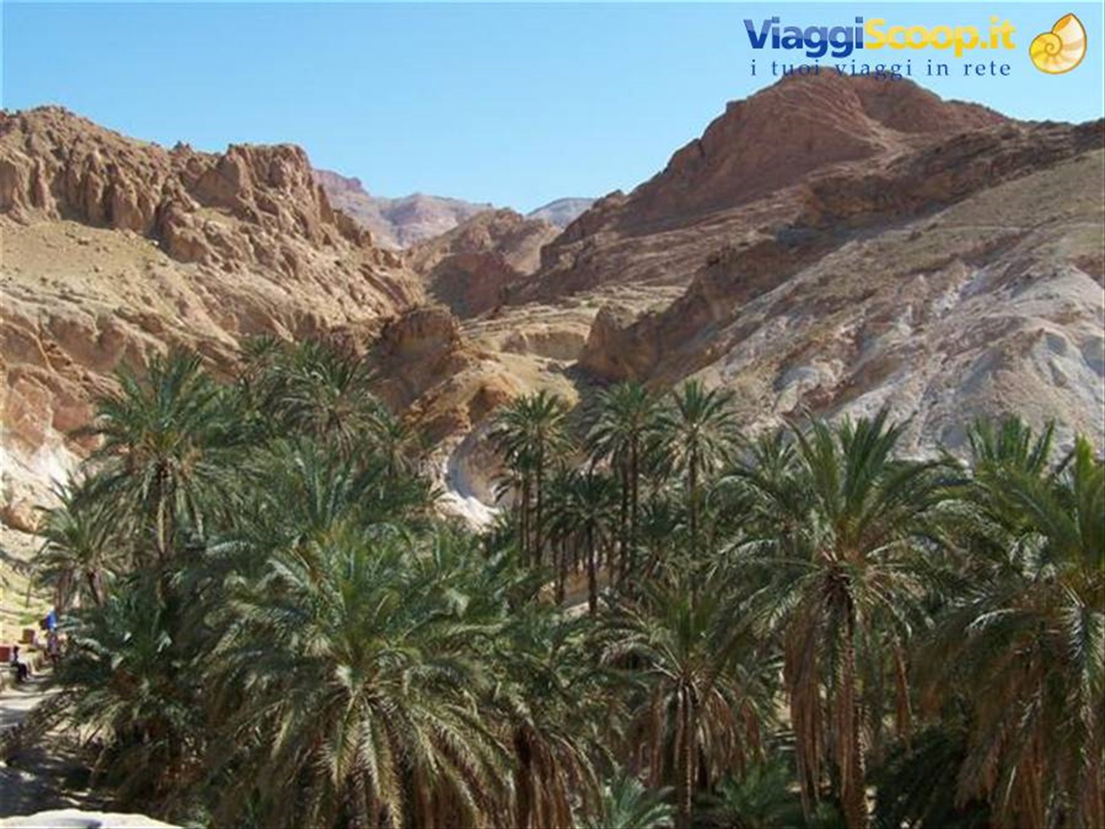 Foto di viaggio in TUNISIA