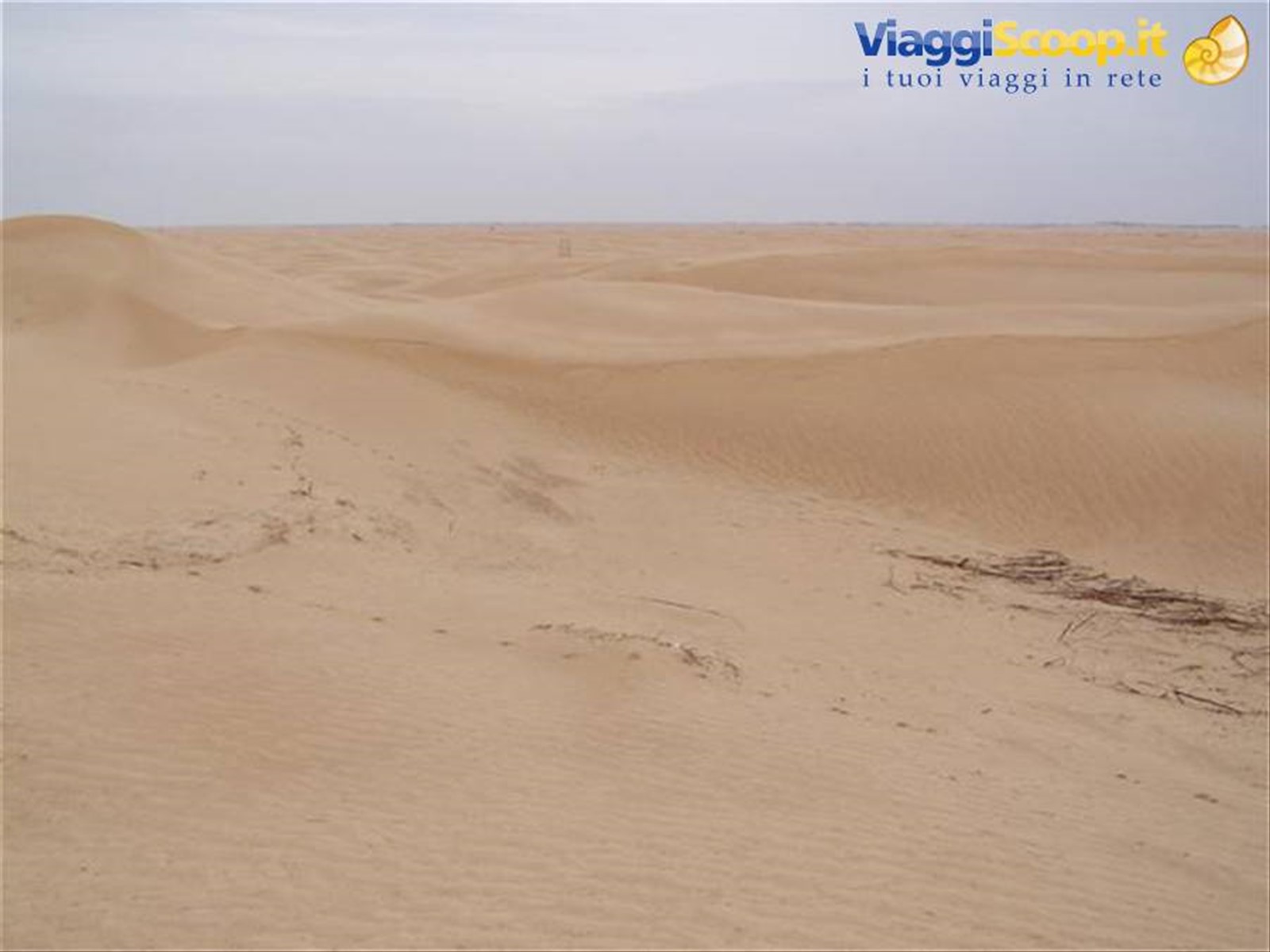 Foto di viaggio in TUNISIA