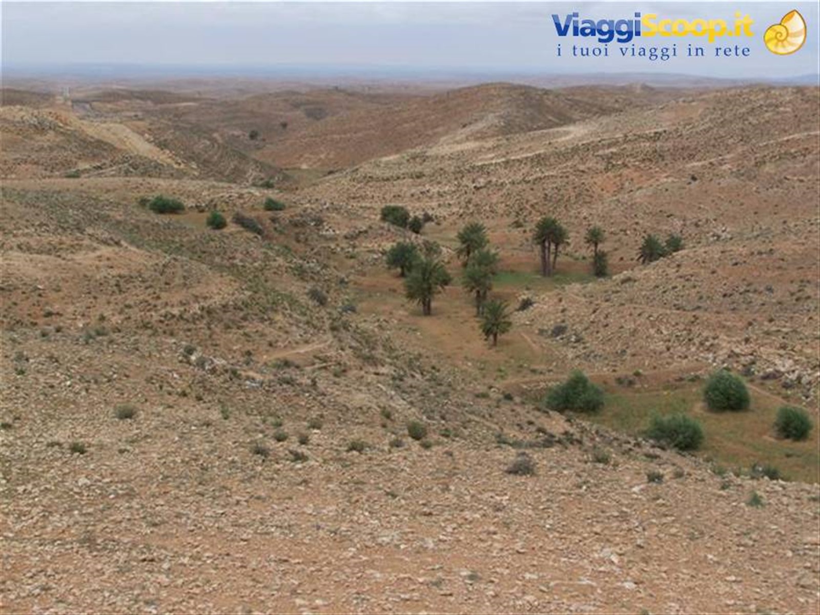 Foto di viaggio in TUNISIA