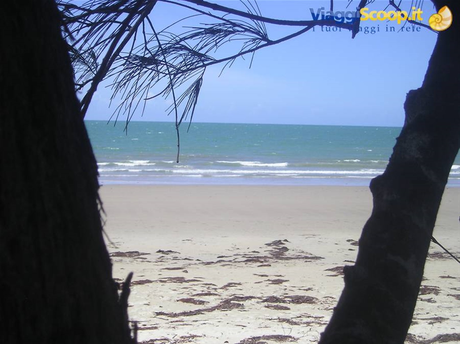 Foto di viaggio in AUSTRALIA