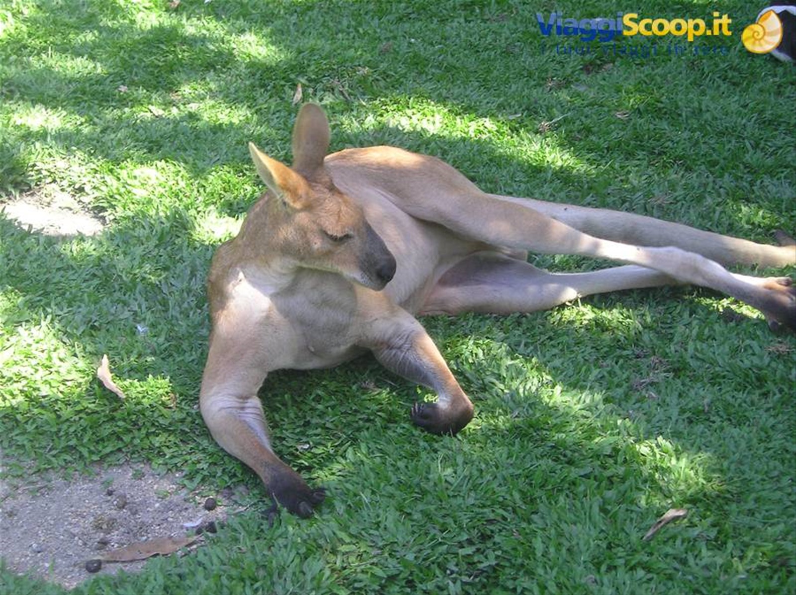 Foto di viaggio in AUSTRALIA