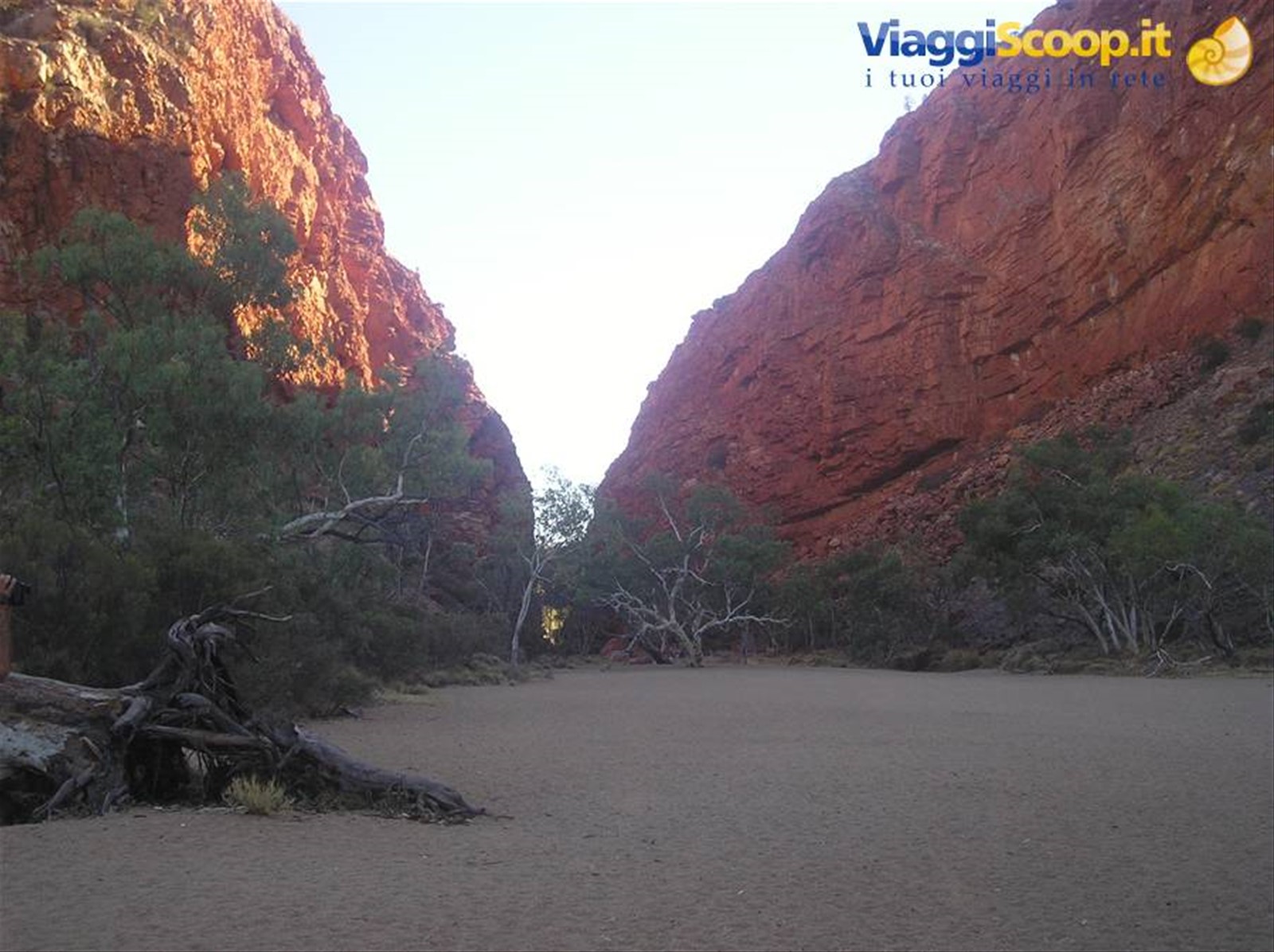 Foto di viaggio in AUSTRALIA
