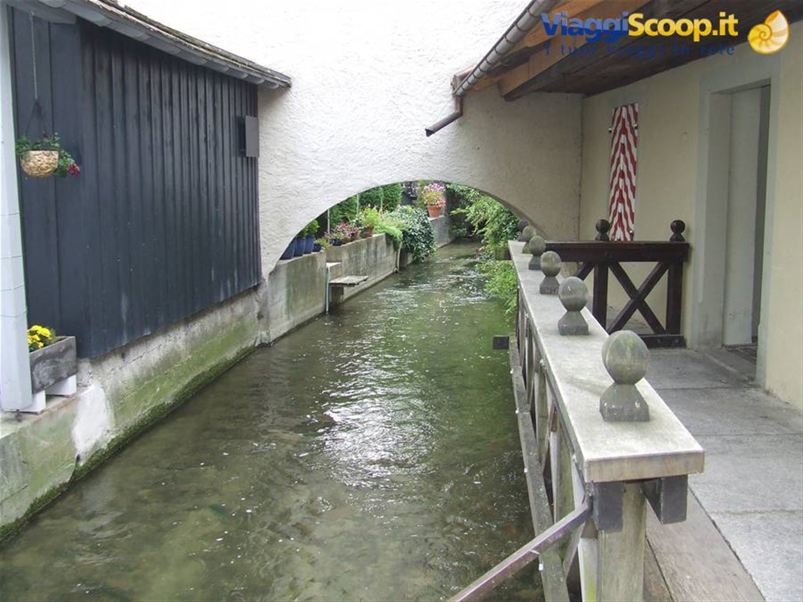 SURSEE - Canale