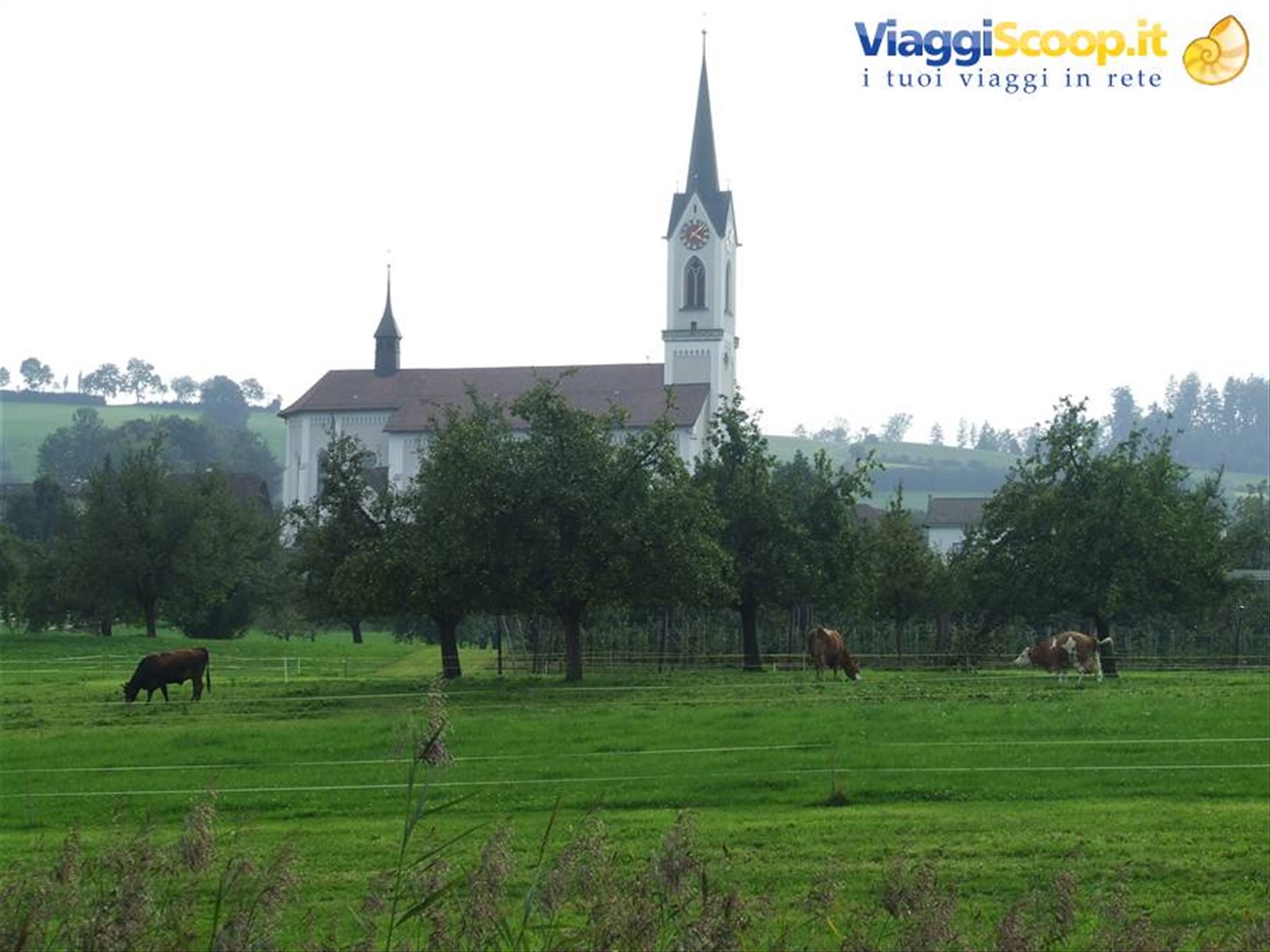 SURSEE - Campagna svizzera