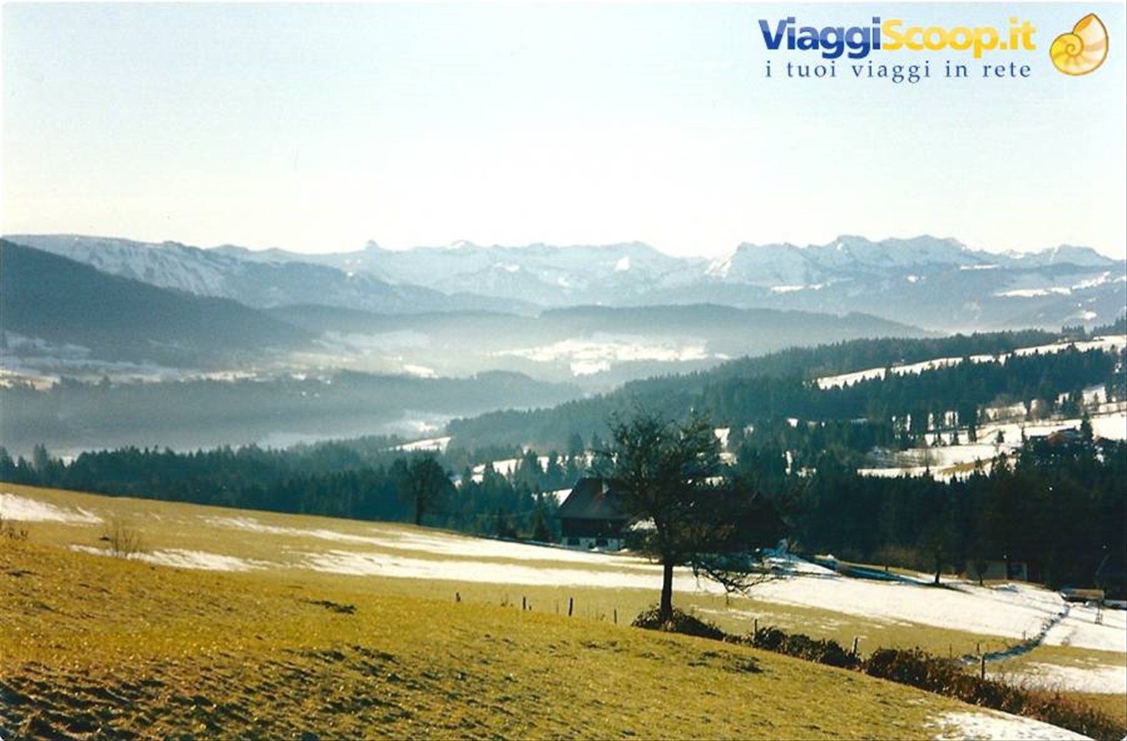 FUSSEN - Panorama
