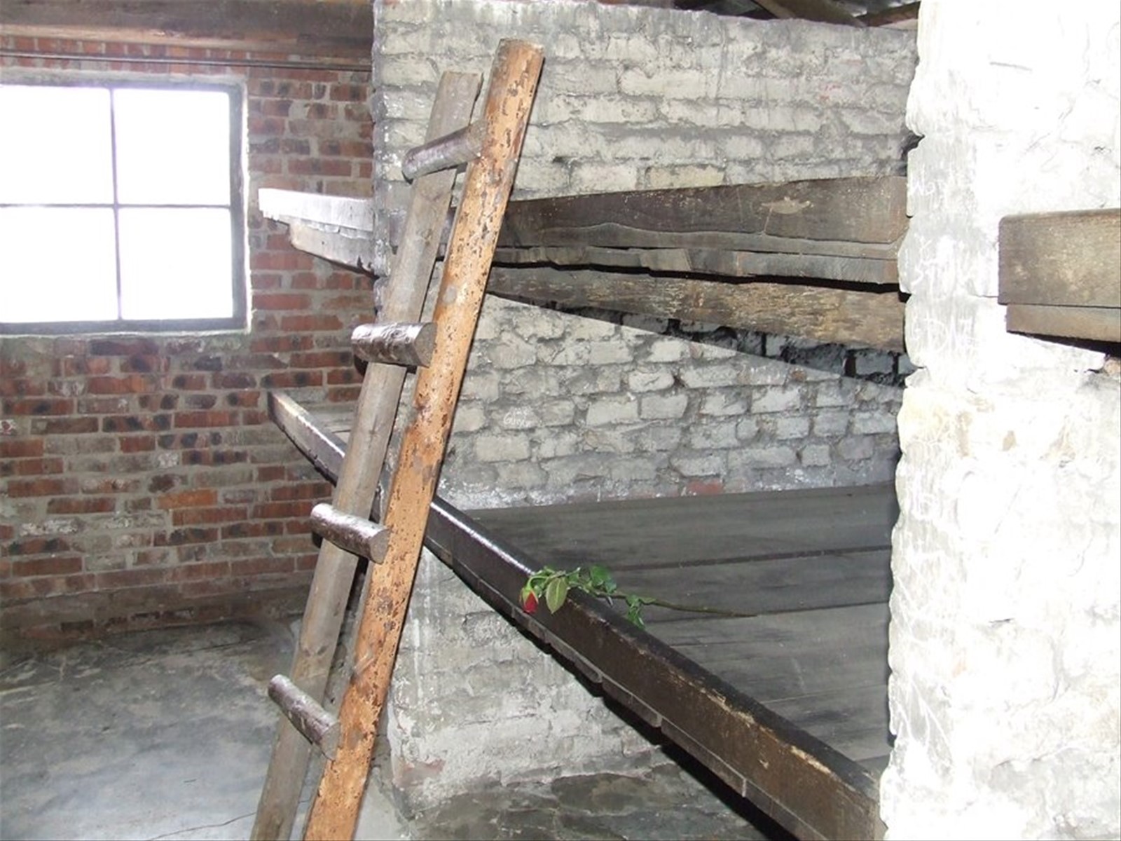 BIRKENAU