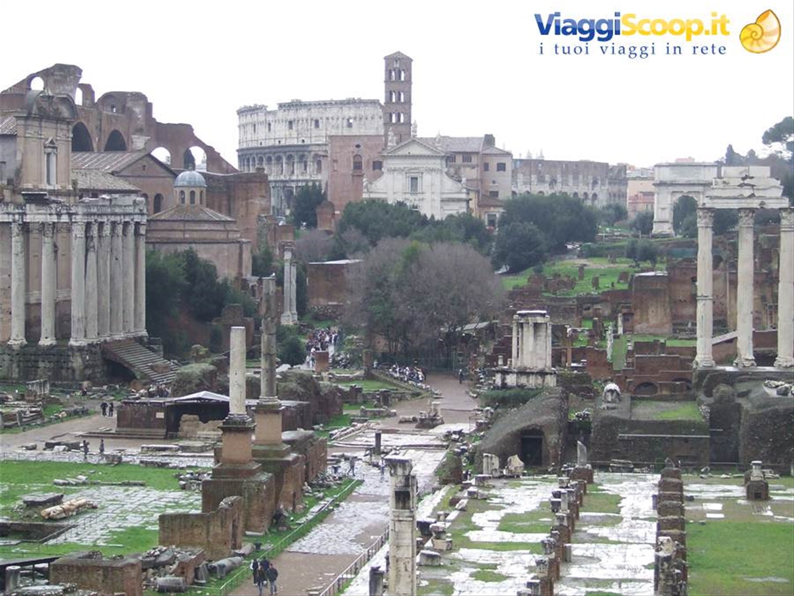 ROMA - Il Foro e,sullo sfondo,il Colosseo