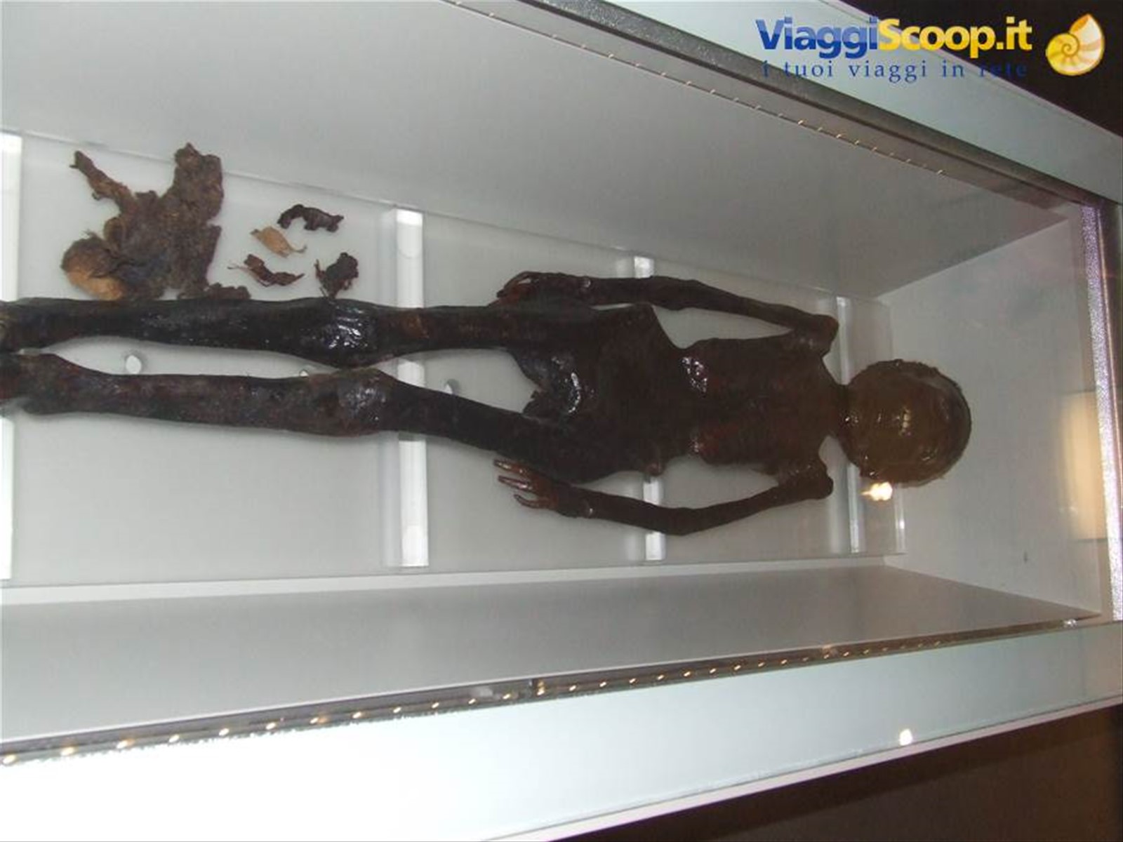 ROMA - Museo Nazionale : la mummia di Grottarossa