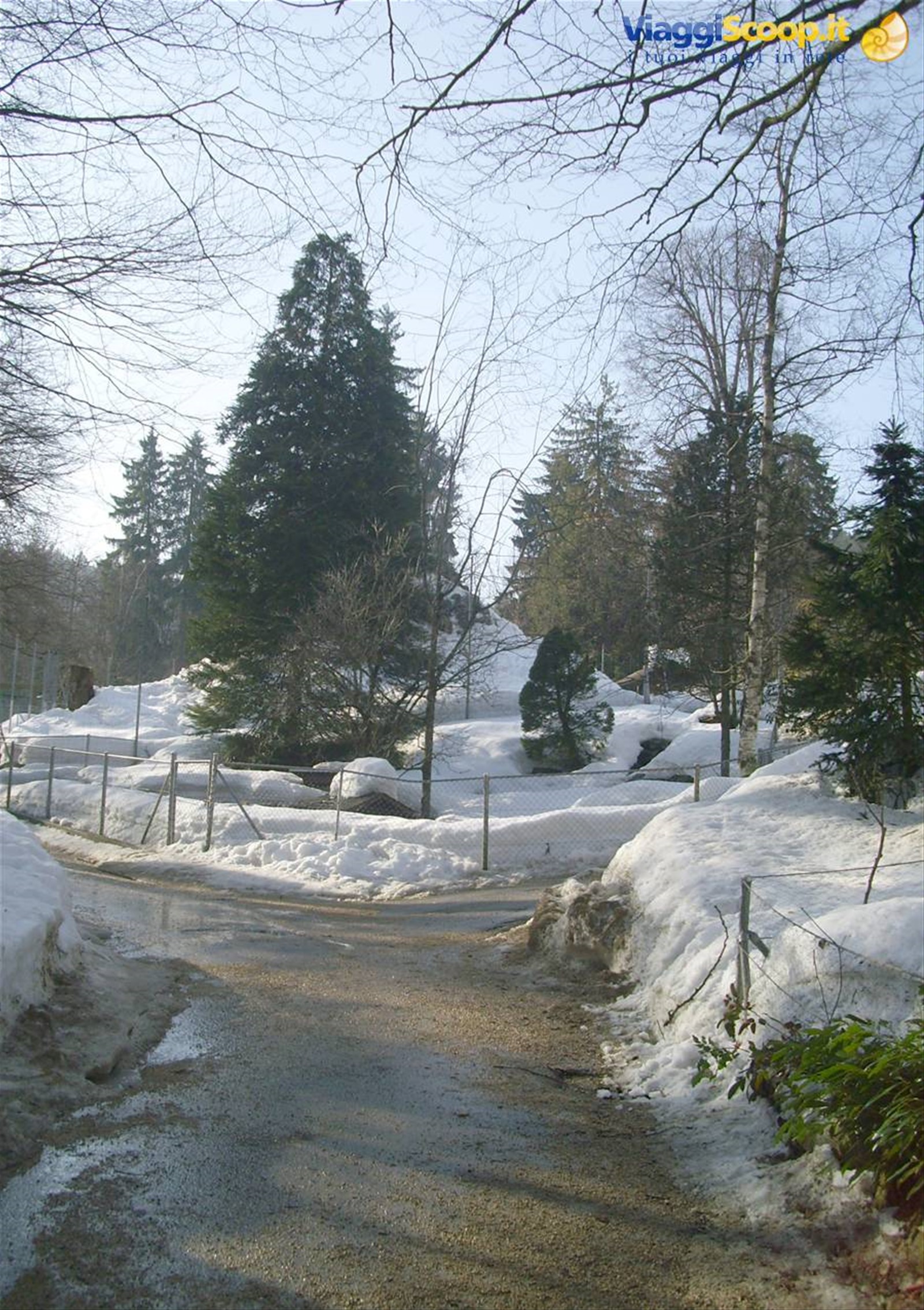 Parc zoologique du bois du petit chateau (La Chaux de Fonds)