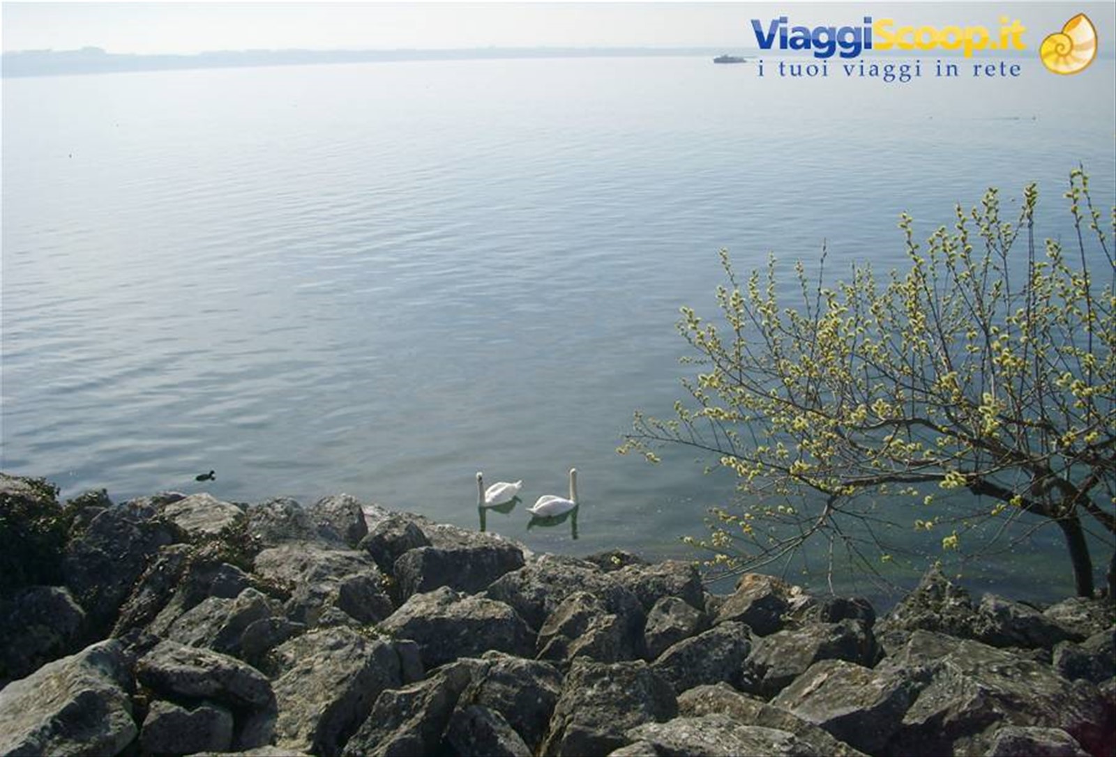 Lago di Neuchatel