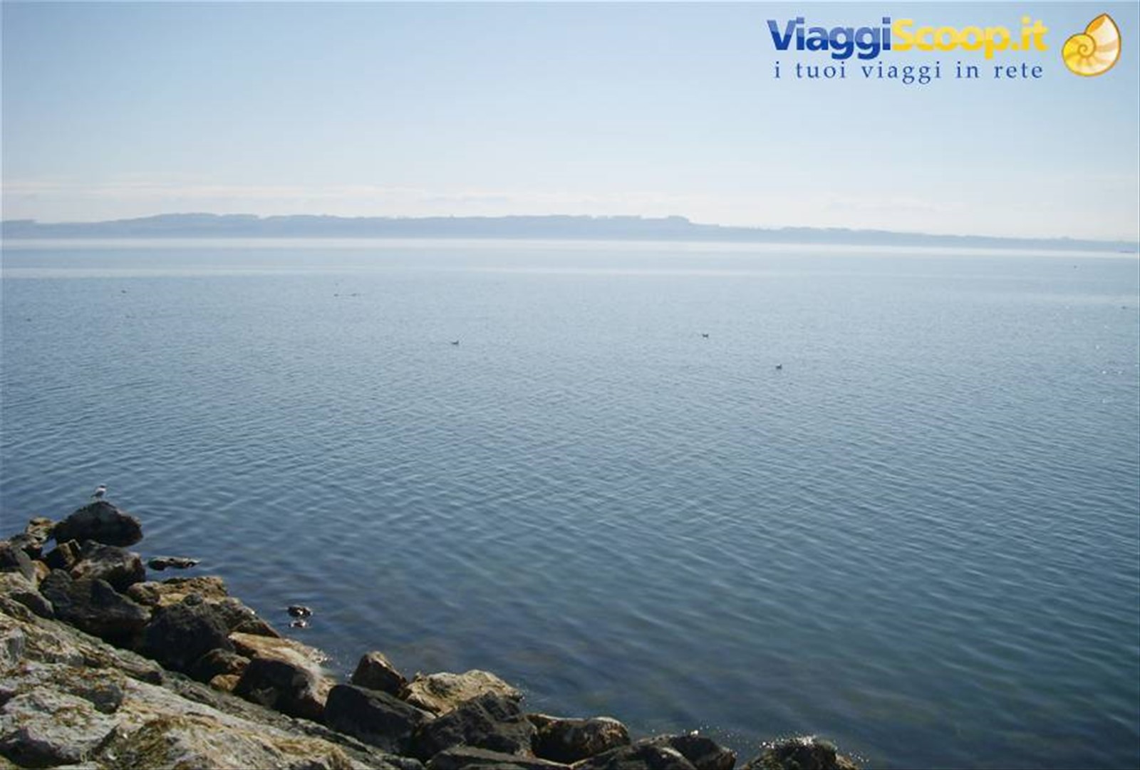 Lago di Neuchatel