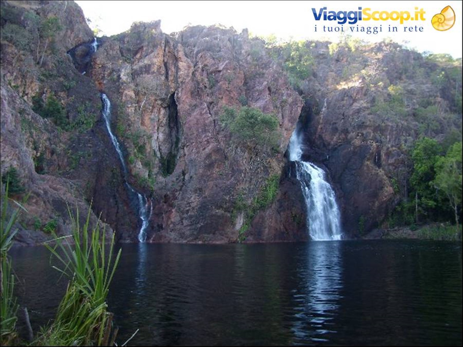 Litchfield