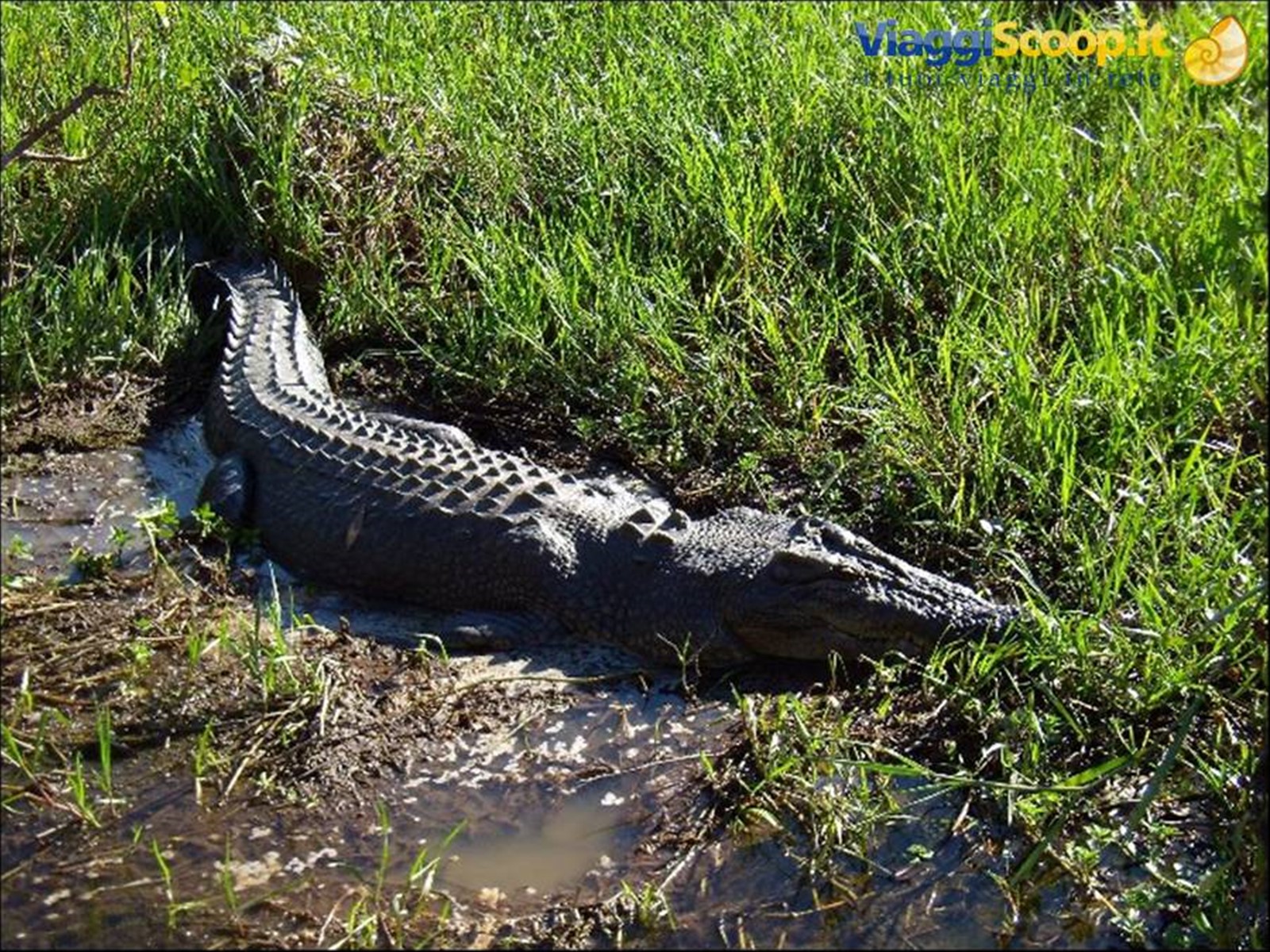 Kakadu NP