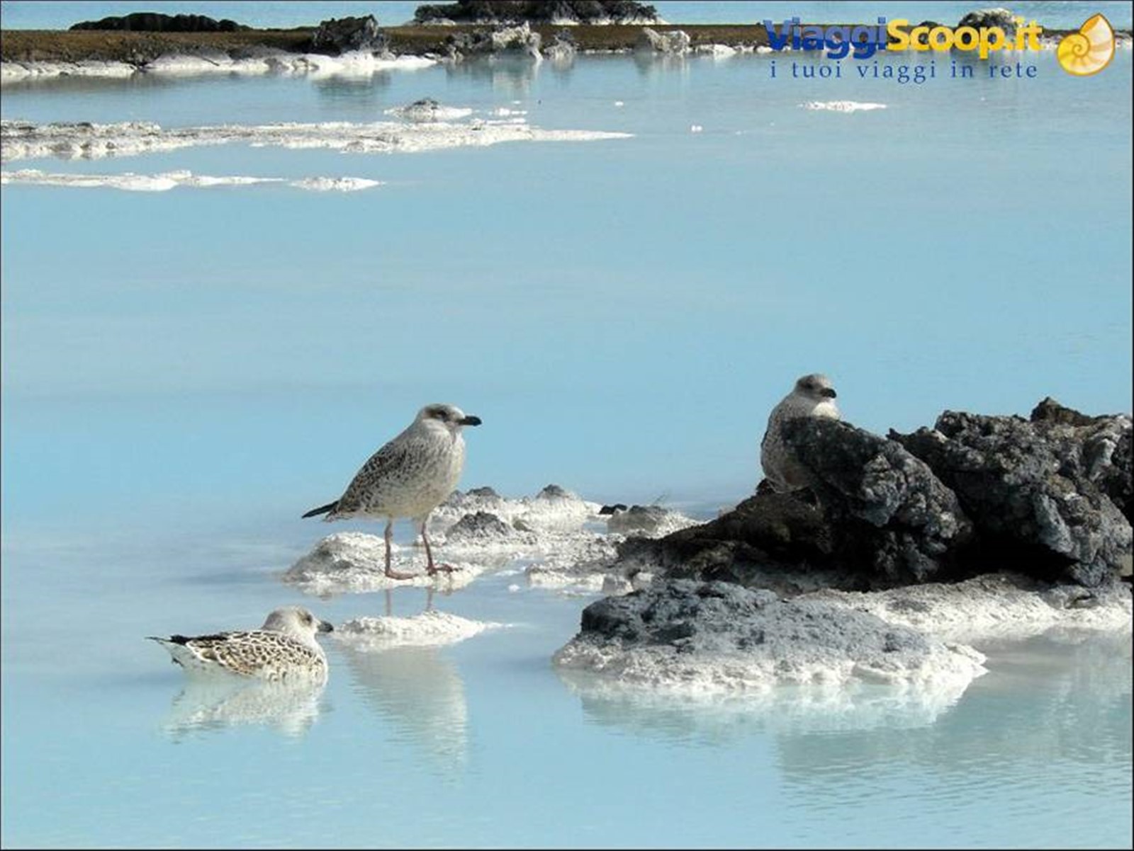 Laguna Blu