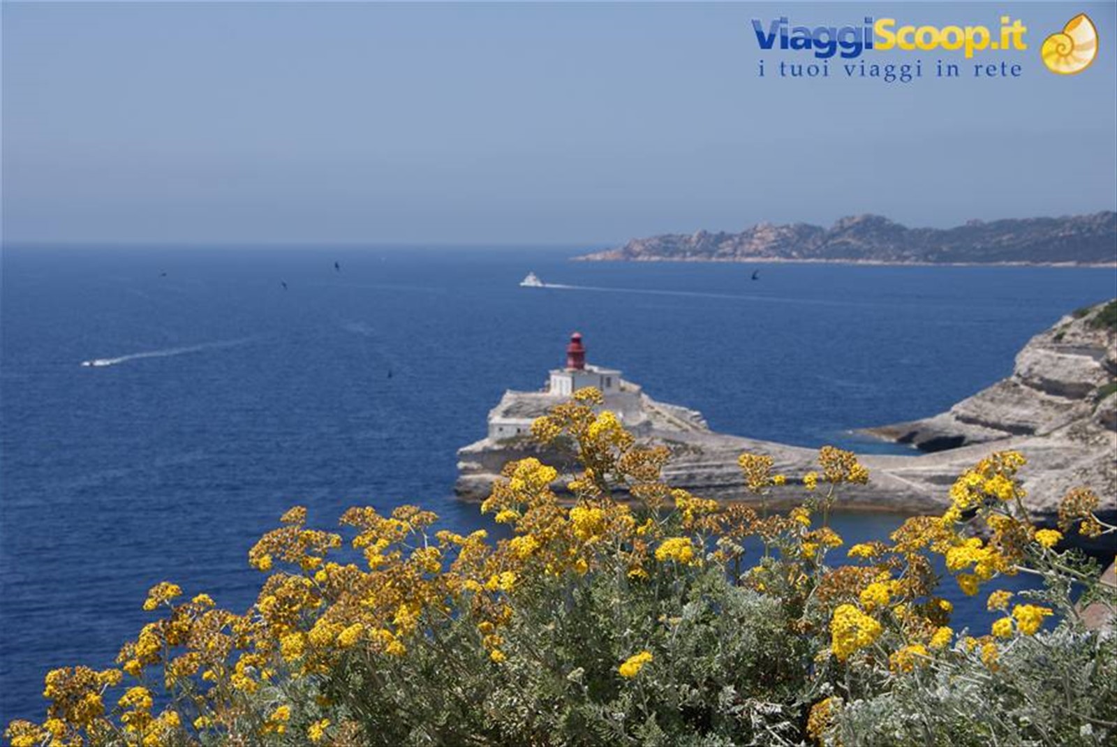 Foto di viaggio in FRANCIA