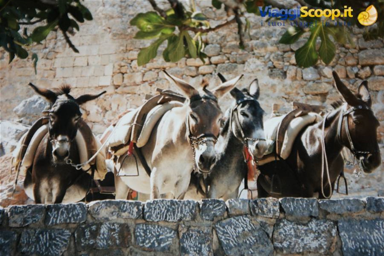 Foto di viaggio in GRECIA