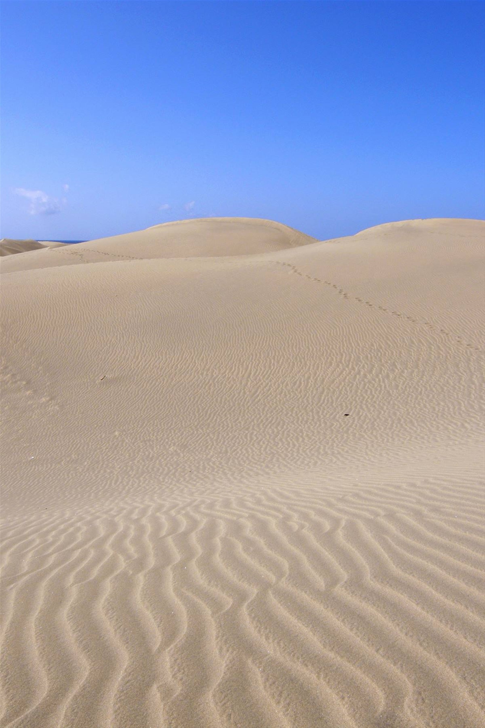 Dune di Maspalomas