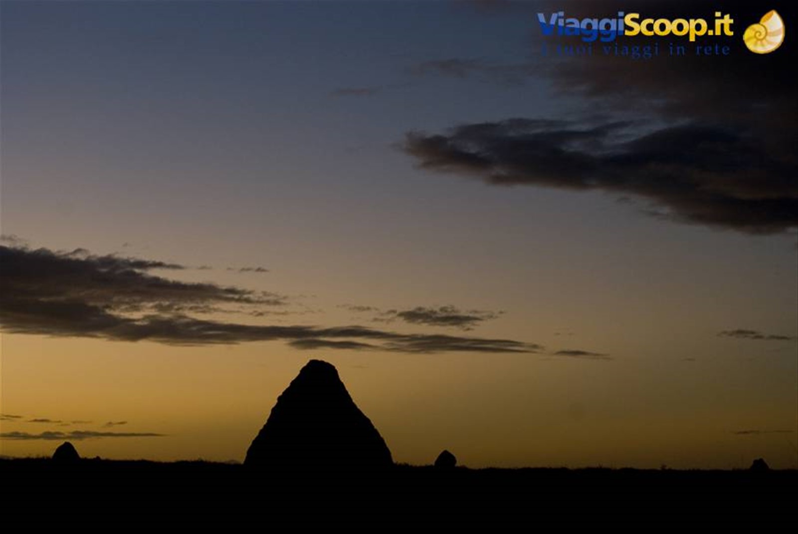 Termitai nel western australia