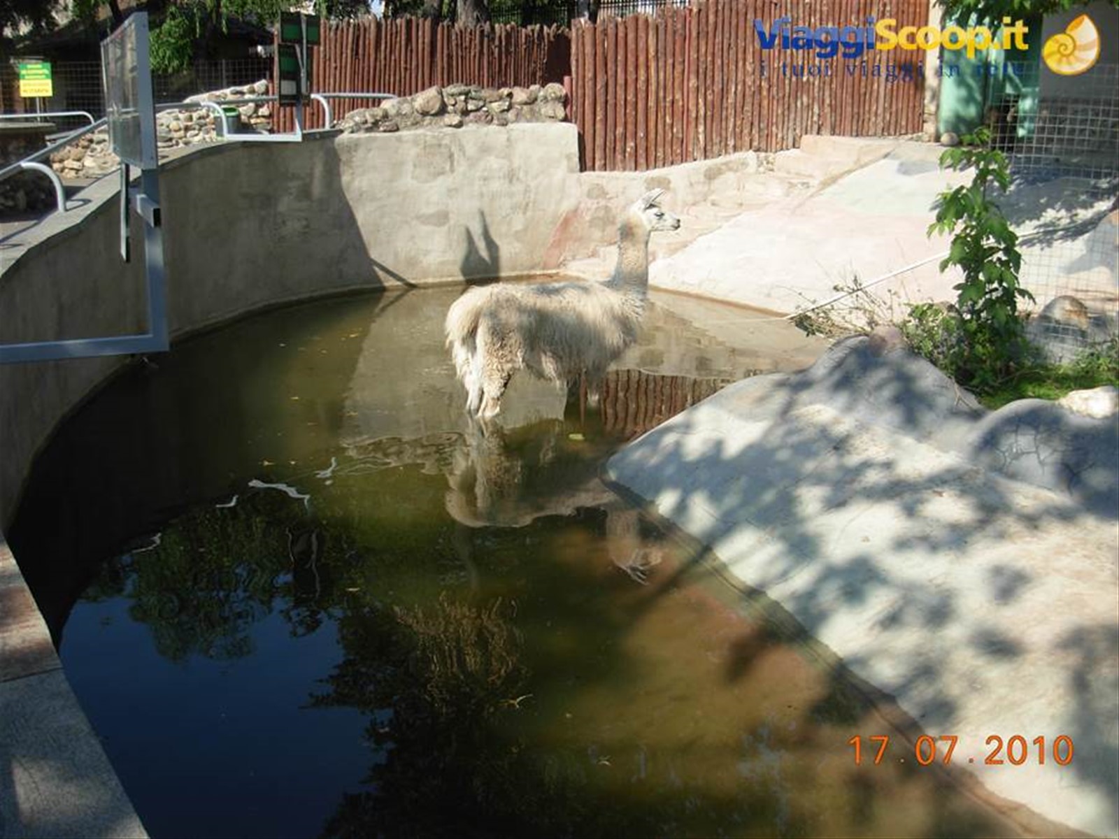 Mosca - zoo