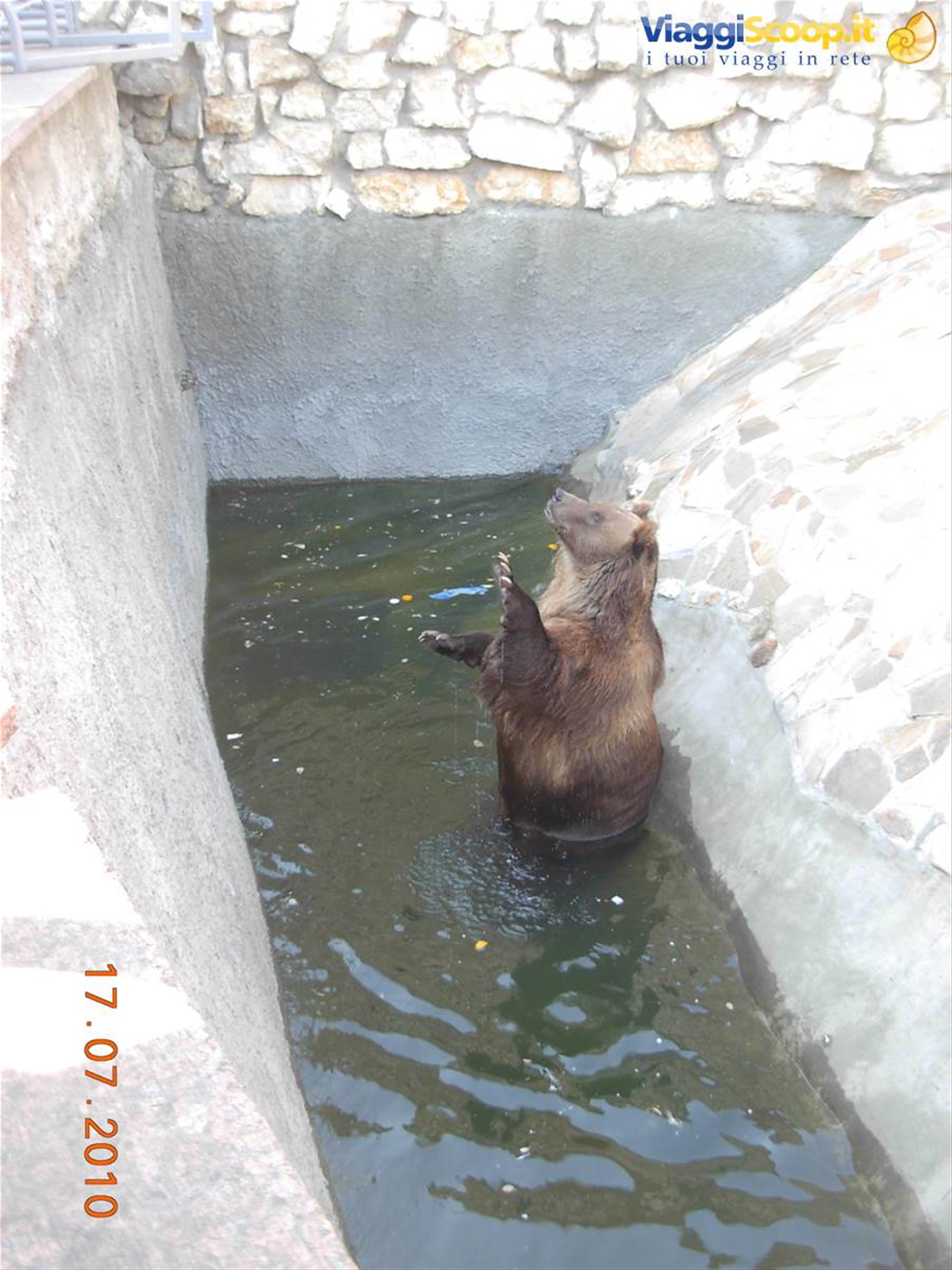 Mosca - zoo