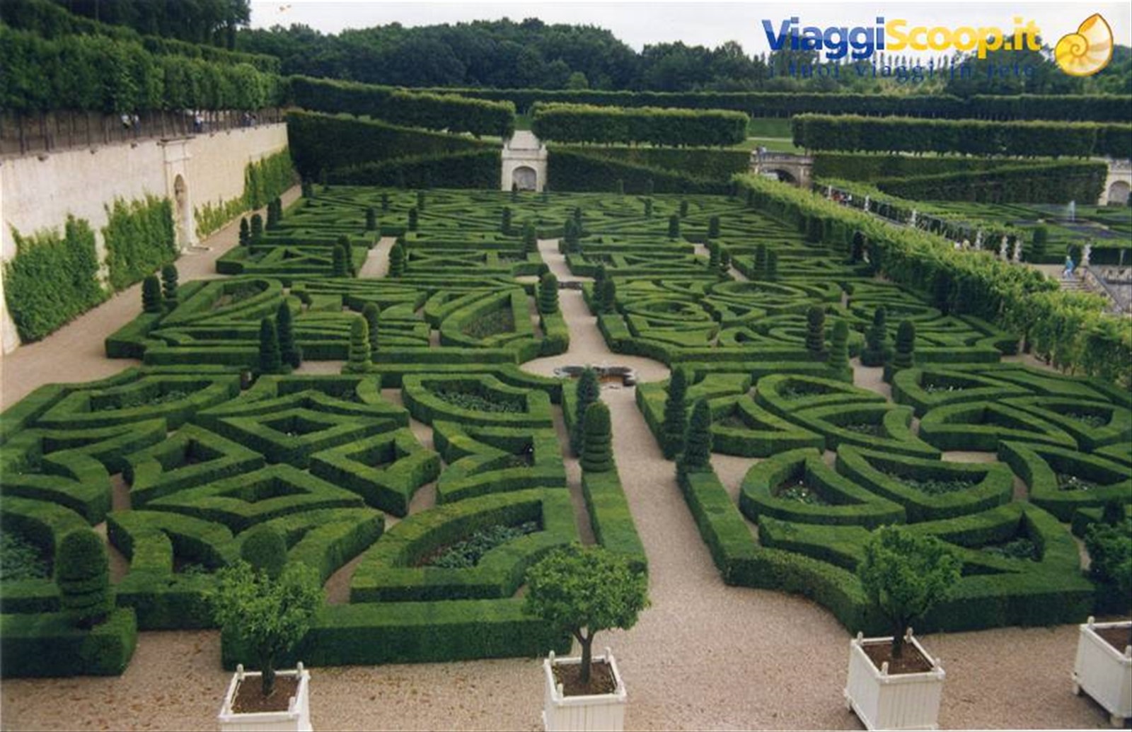 Villandry - labirinto
