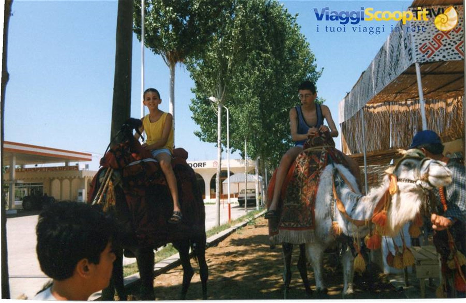 Manavgat - sul dromedario