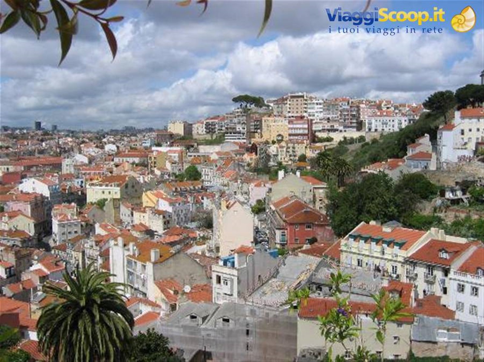 ALFAMA'