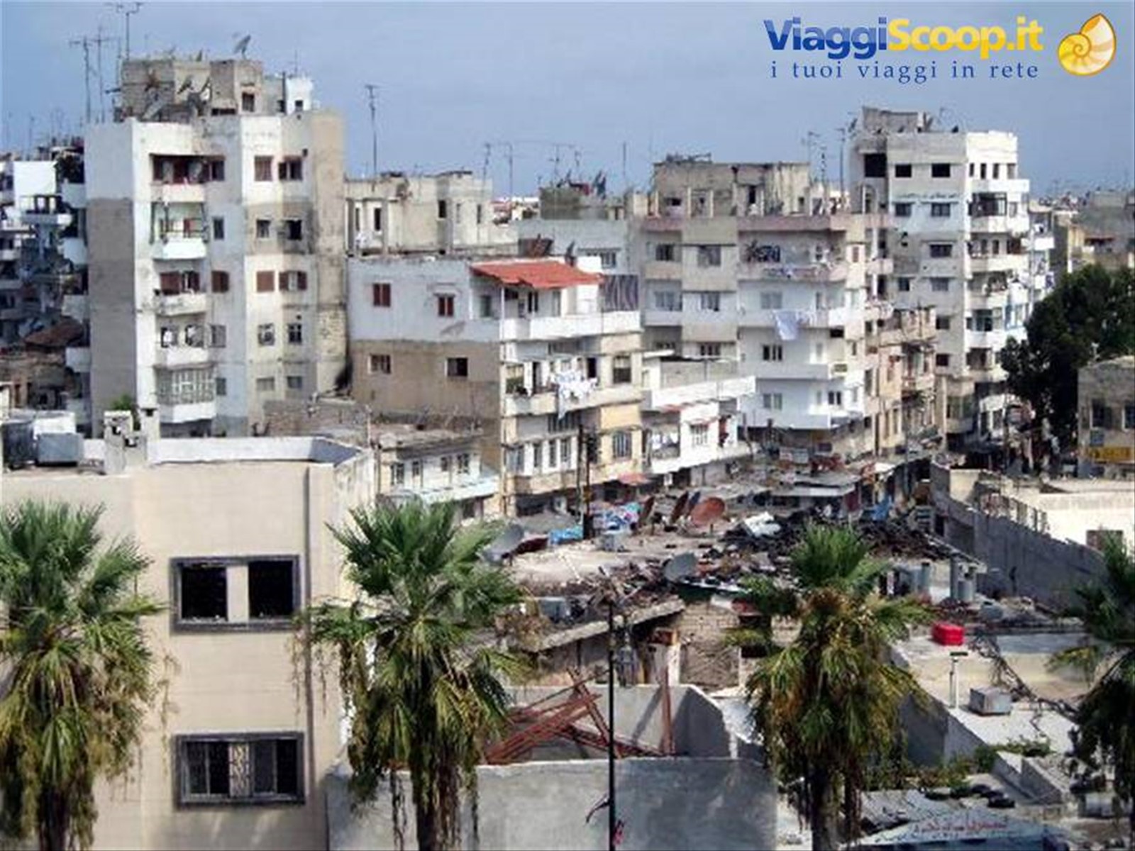 LATAKIA