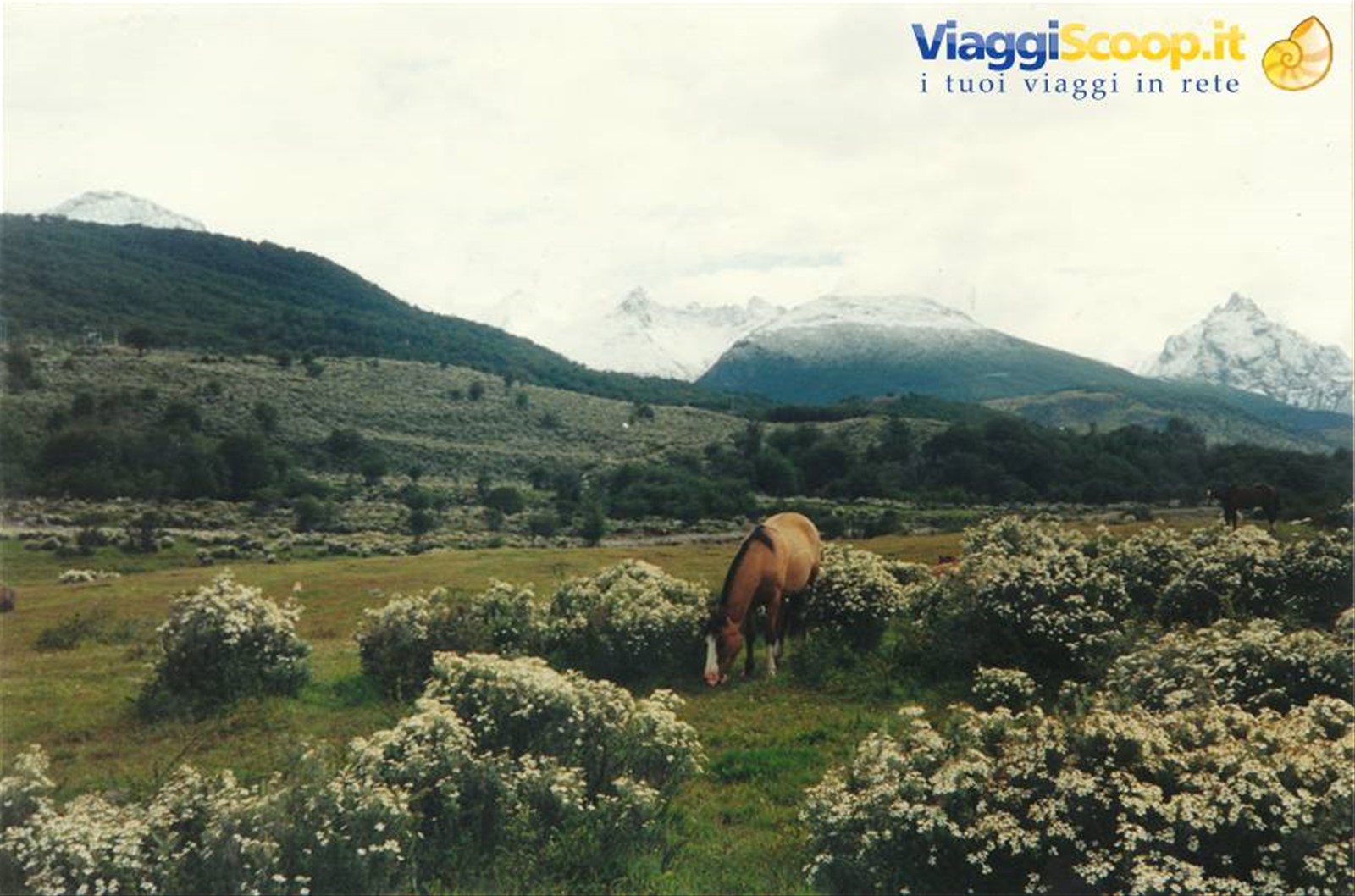 Foto di viaggio in ARGENTINA