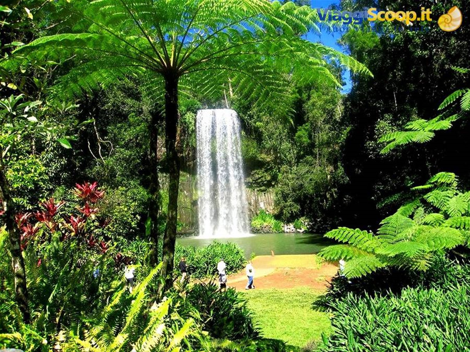 affascinanti Milla Milla falls