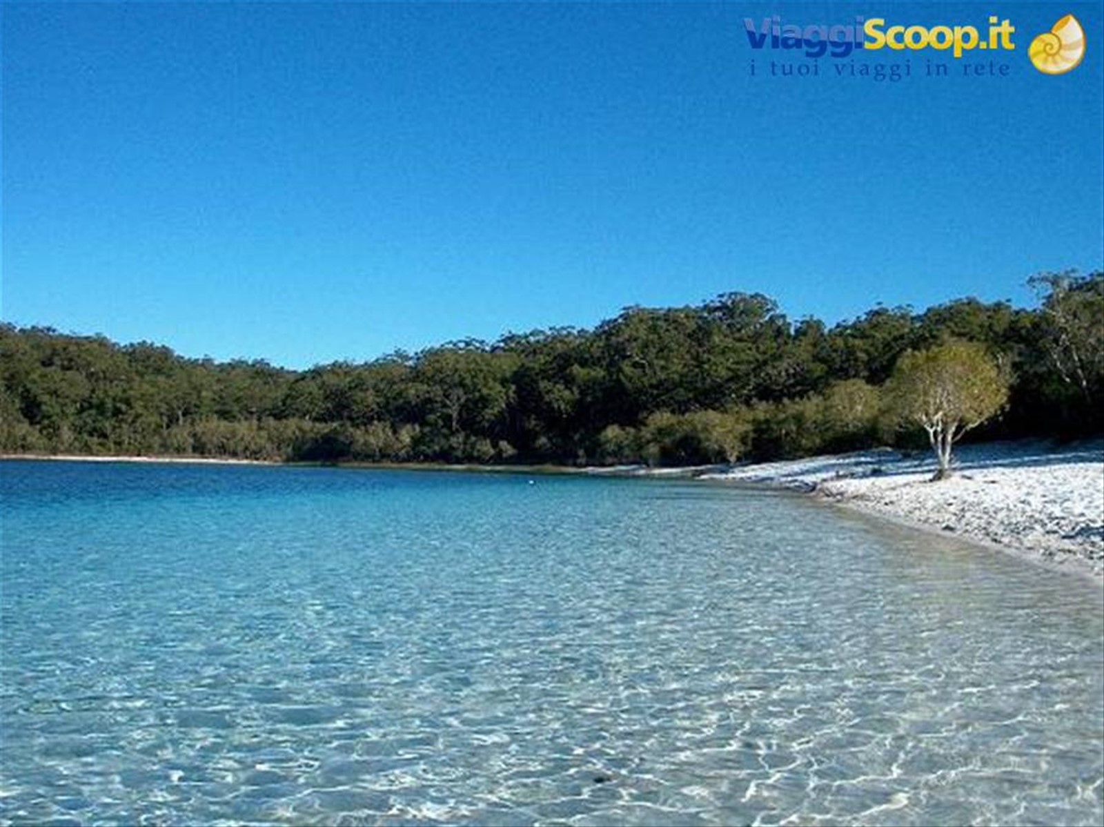 lago McKenzie